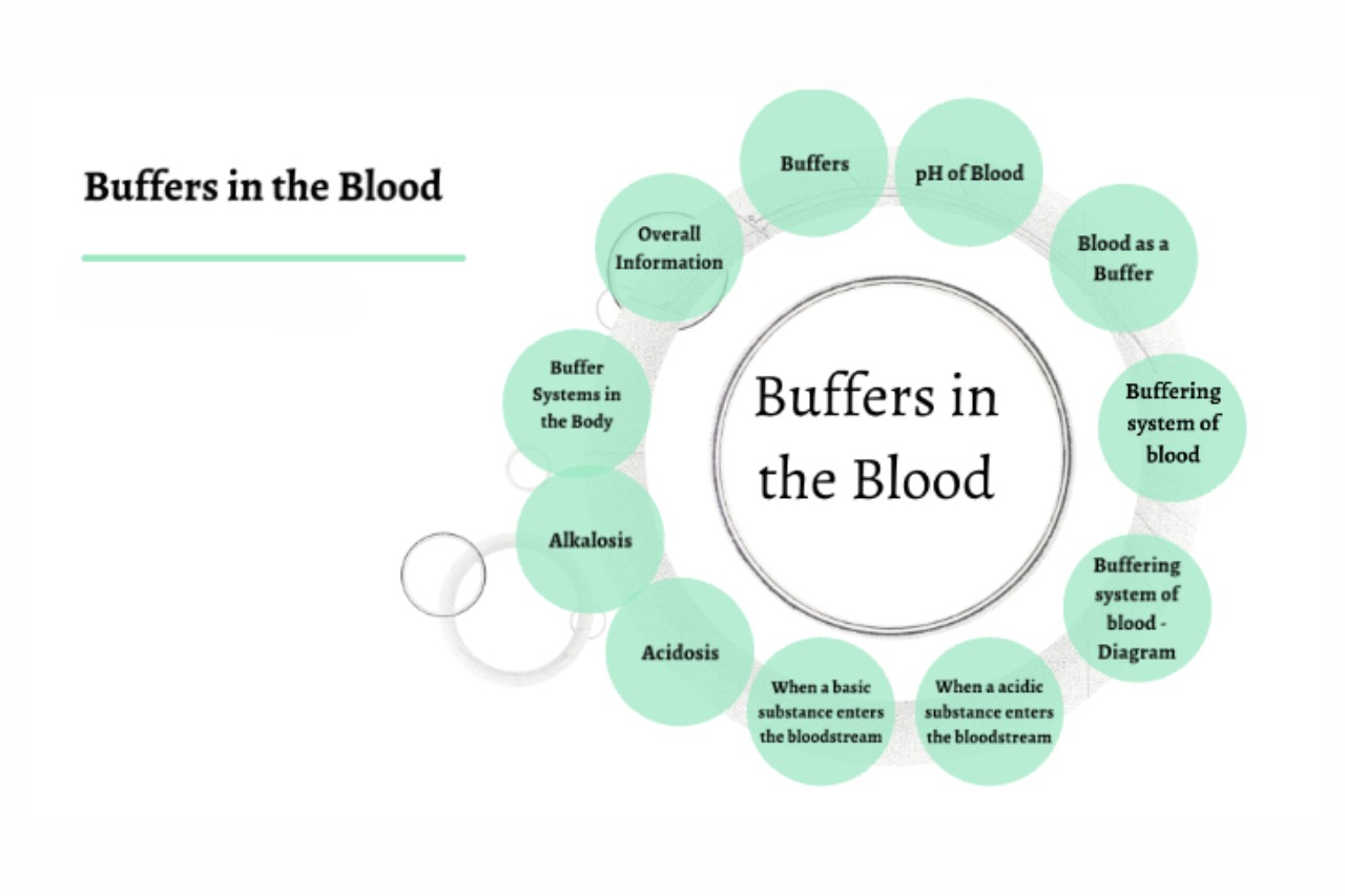 20-fascinating-facts-about-blood-buffer
