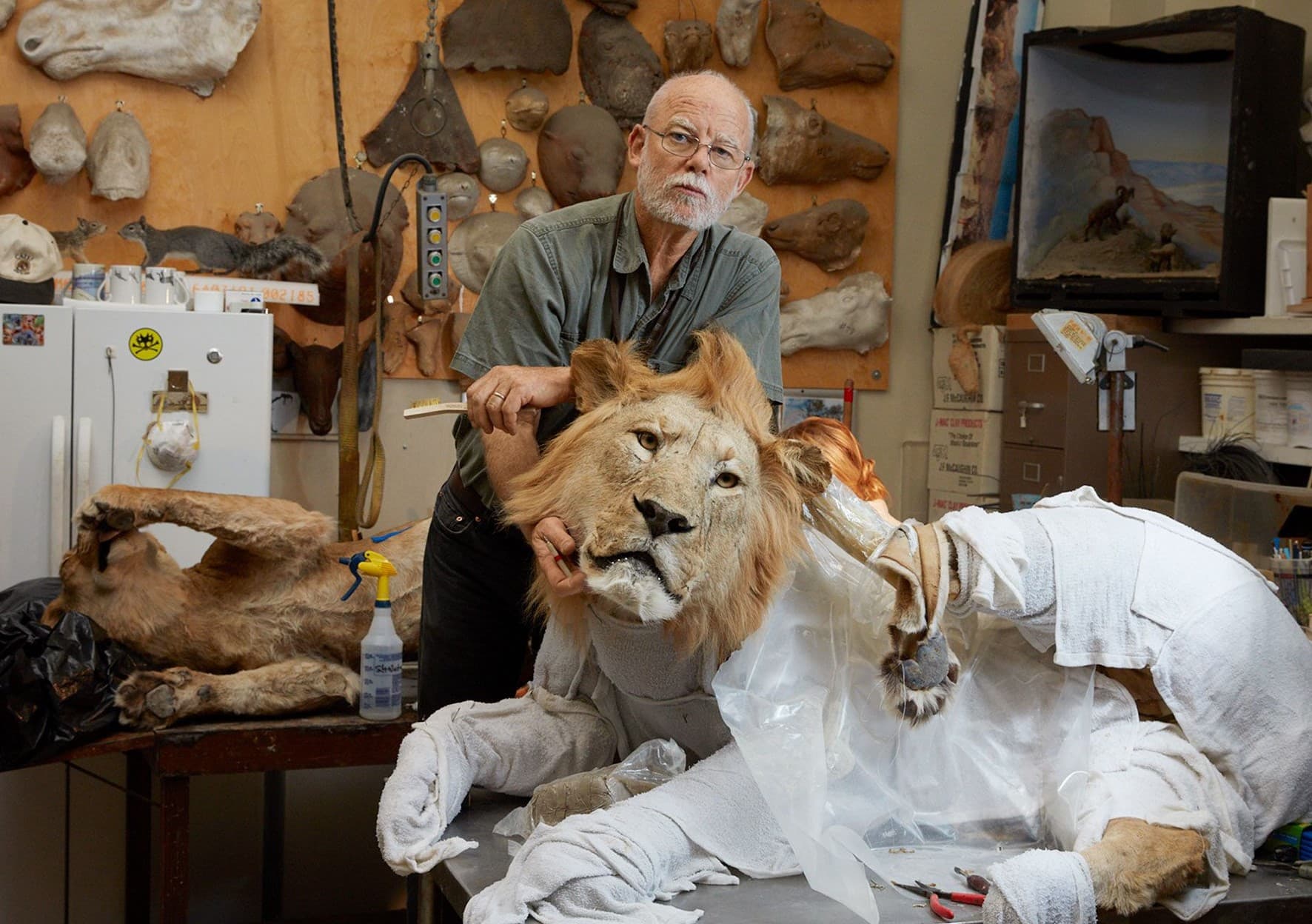 20-fascinating-facts-about-taxidermist