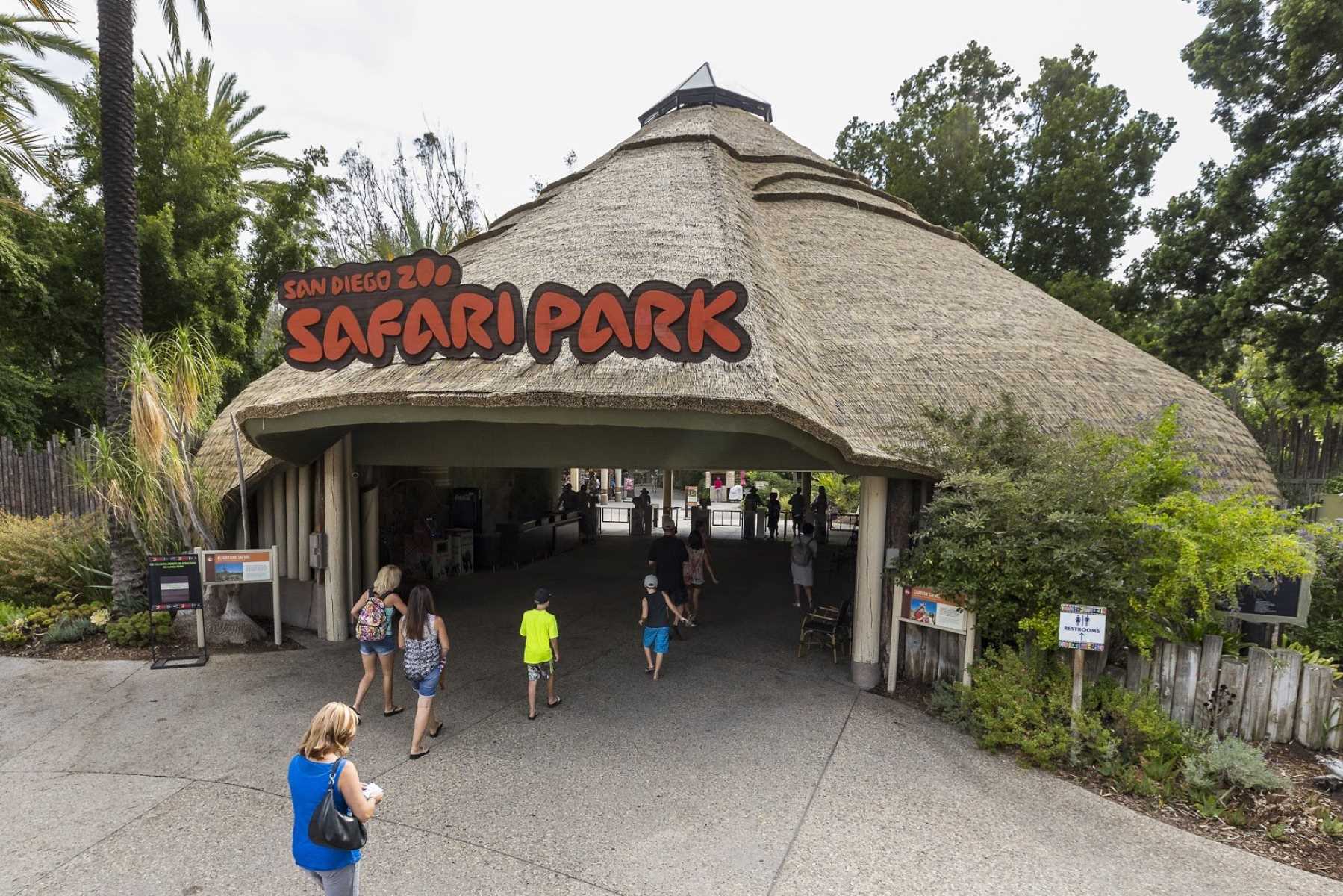 20-intriguing-facts-about-san-diego-zoo-safari-park