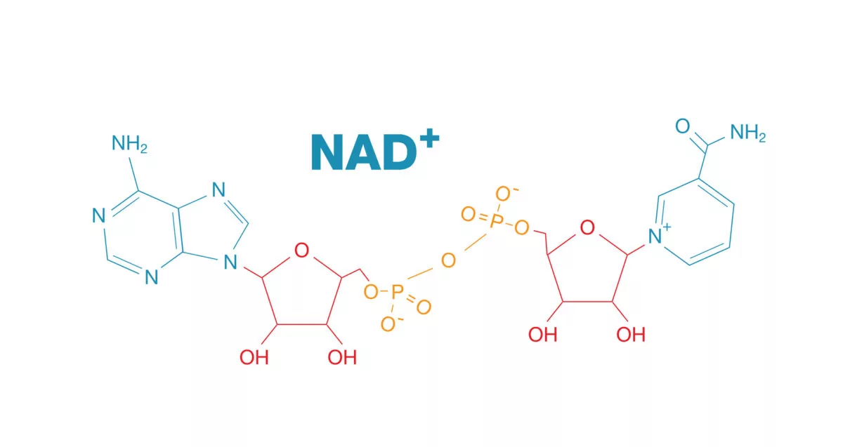 20-mind-blowing-facts-about-nad-nicotinamide-adenine-dinucleotide