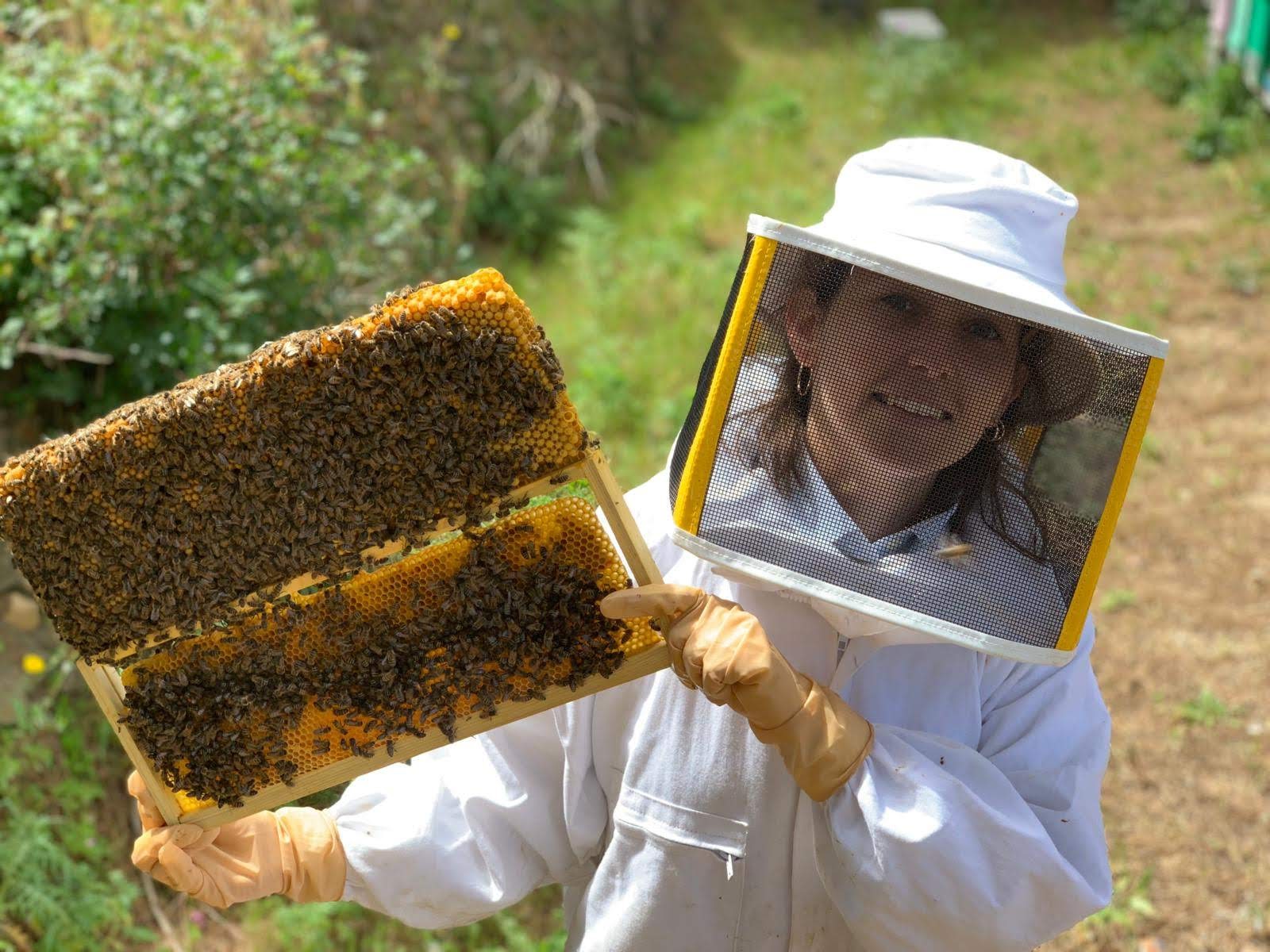 20-surprising-facts-about-beekeeping