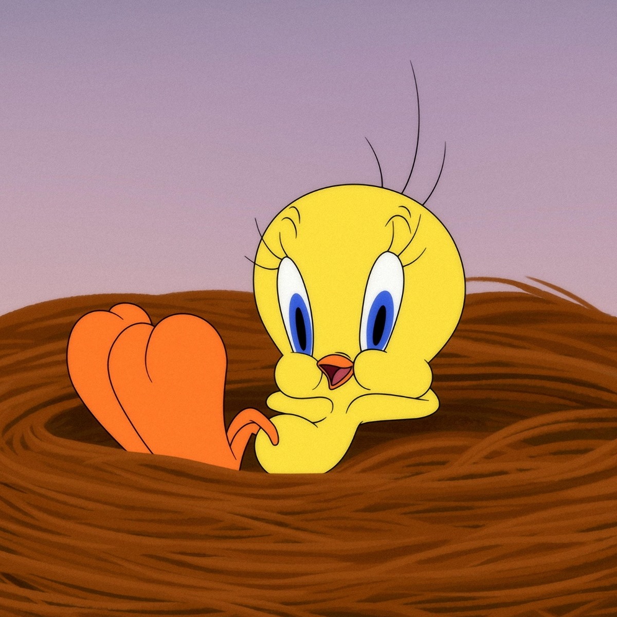 21 Facts About Tweety Bird (Looney Tunes) 