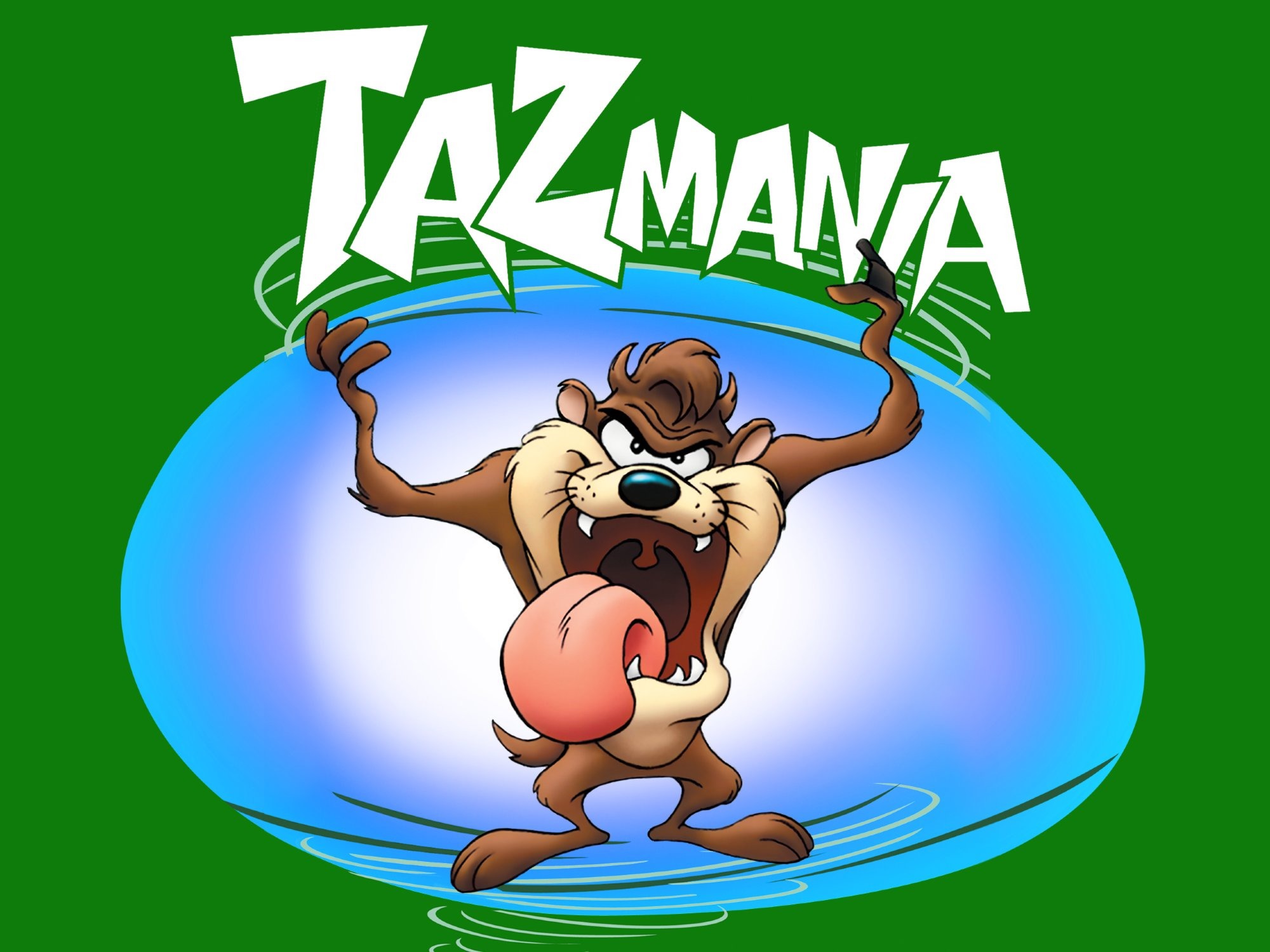 22-facts-about-taz-taz-mania