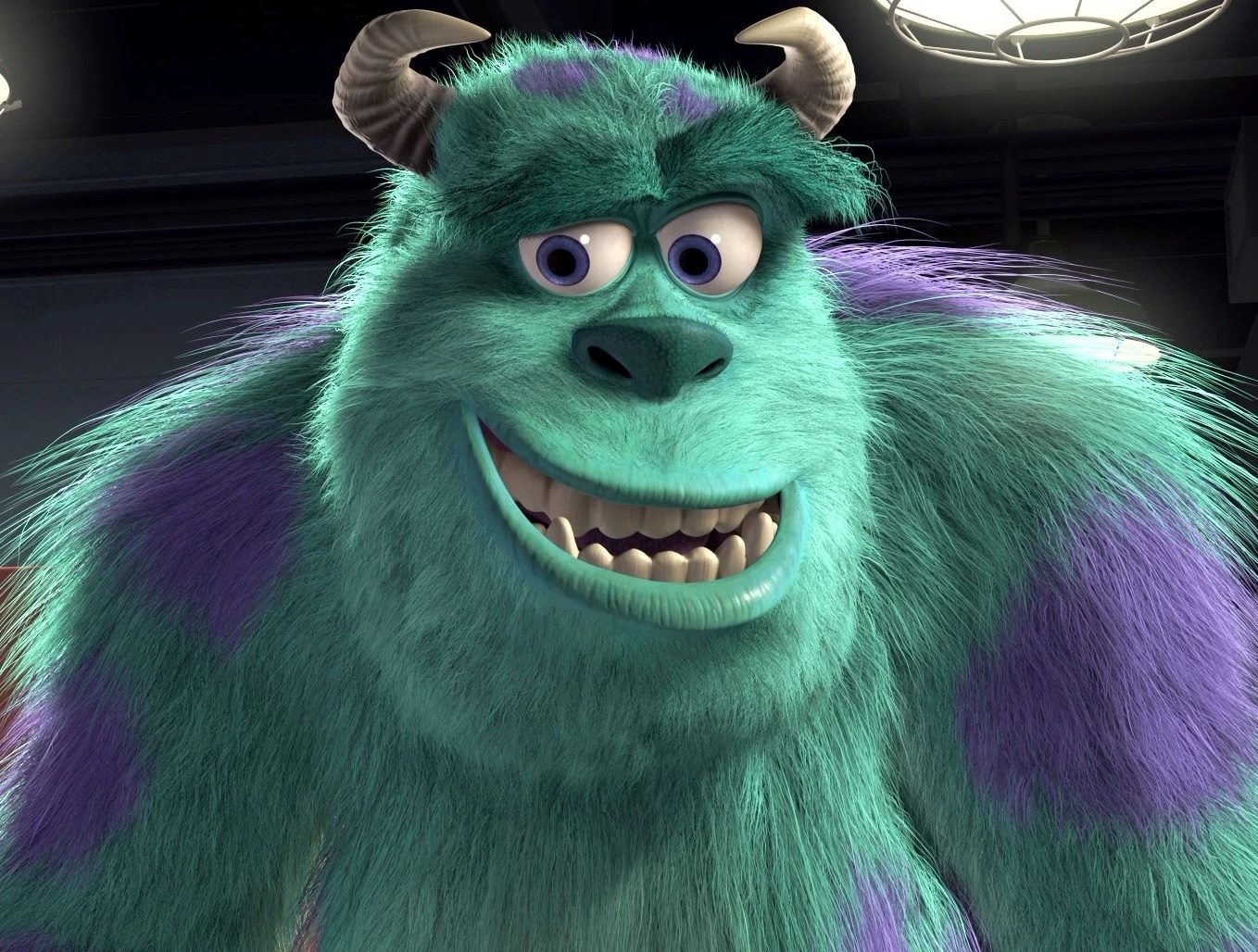 24-facts-about-sully-monsters-inc