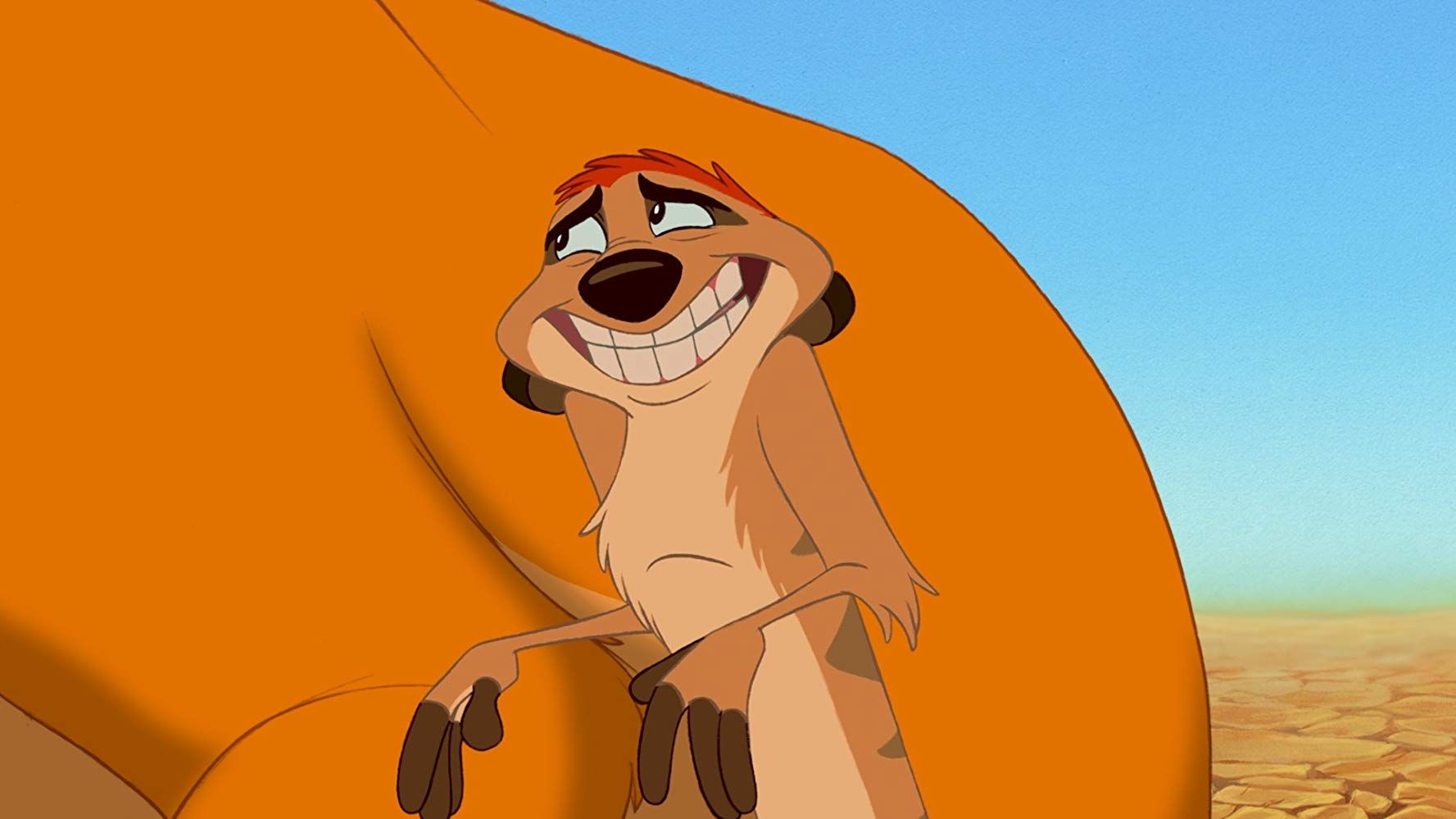 24 Facts About Timon (The Lion King) - Facts.net
