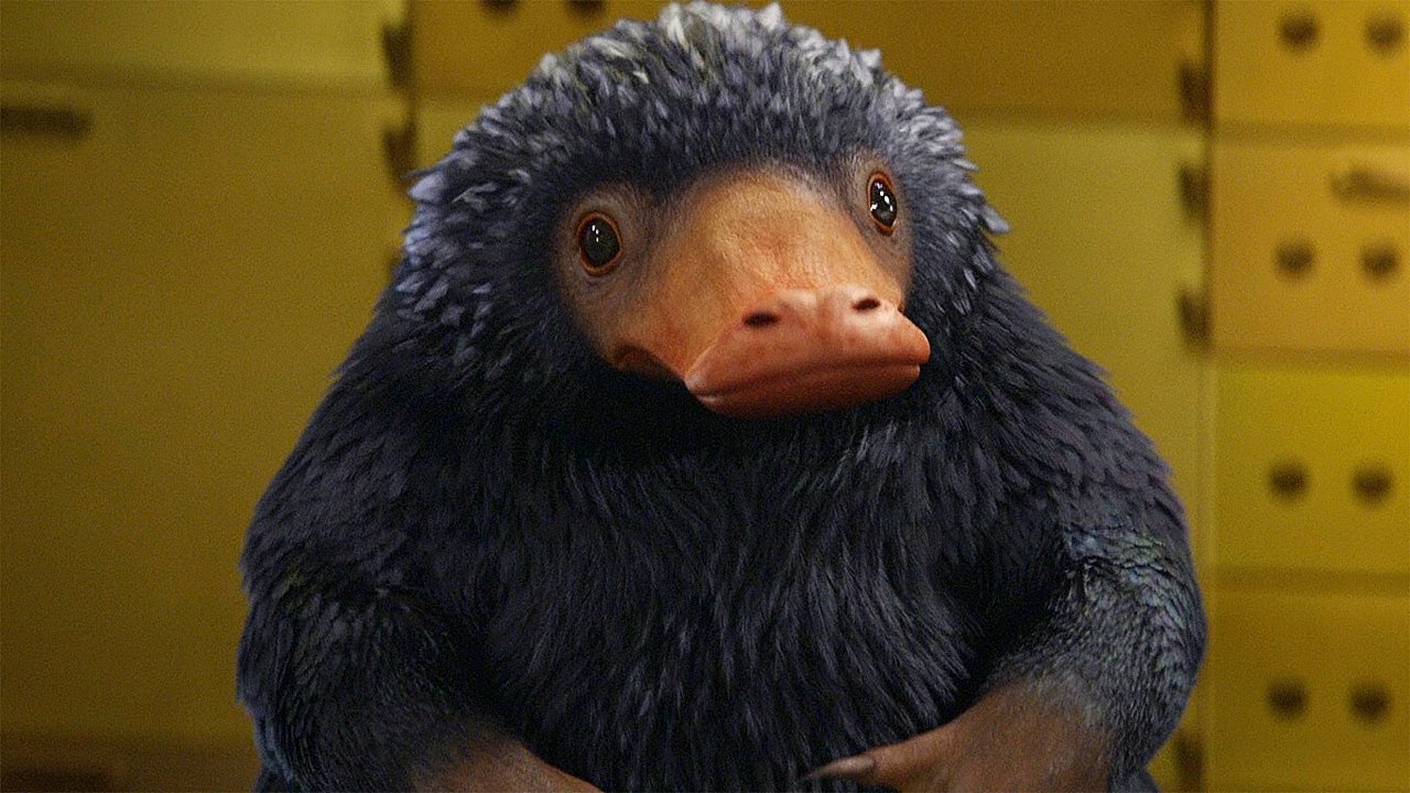 25-facts-about-niffler-fantastic-beasts-and-where-to-find-them