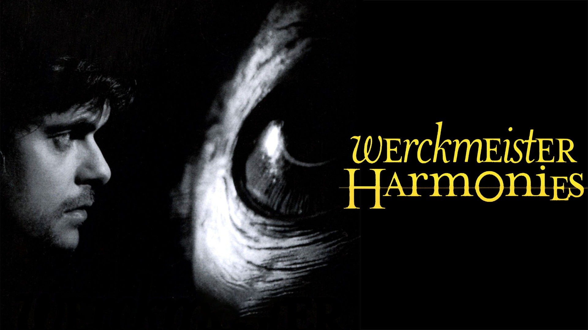 36-facts-about-the-movie-werckmeister-harmonies