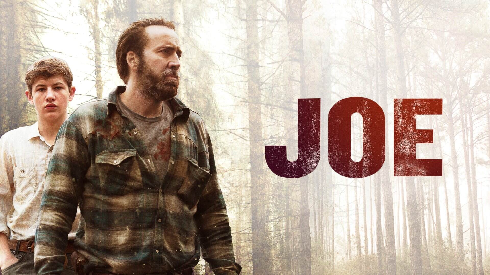 41-facts-about-the-movie-joe