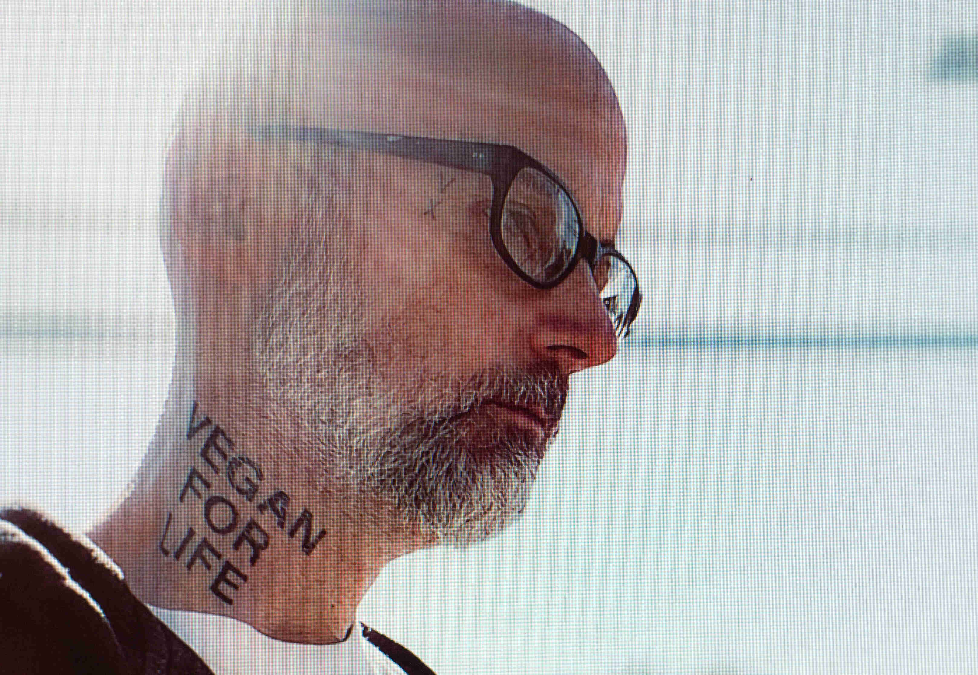 42-facts-about-moby
