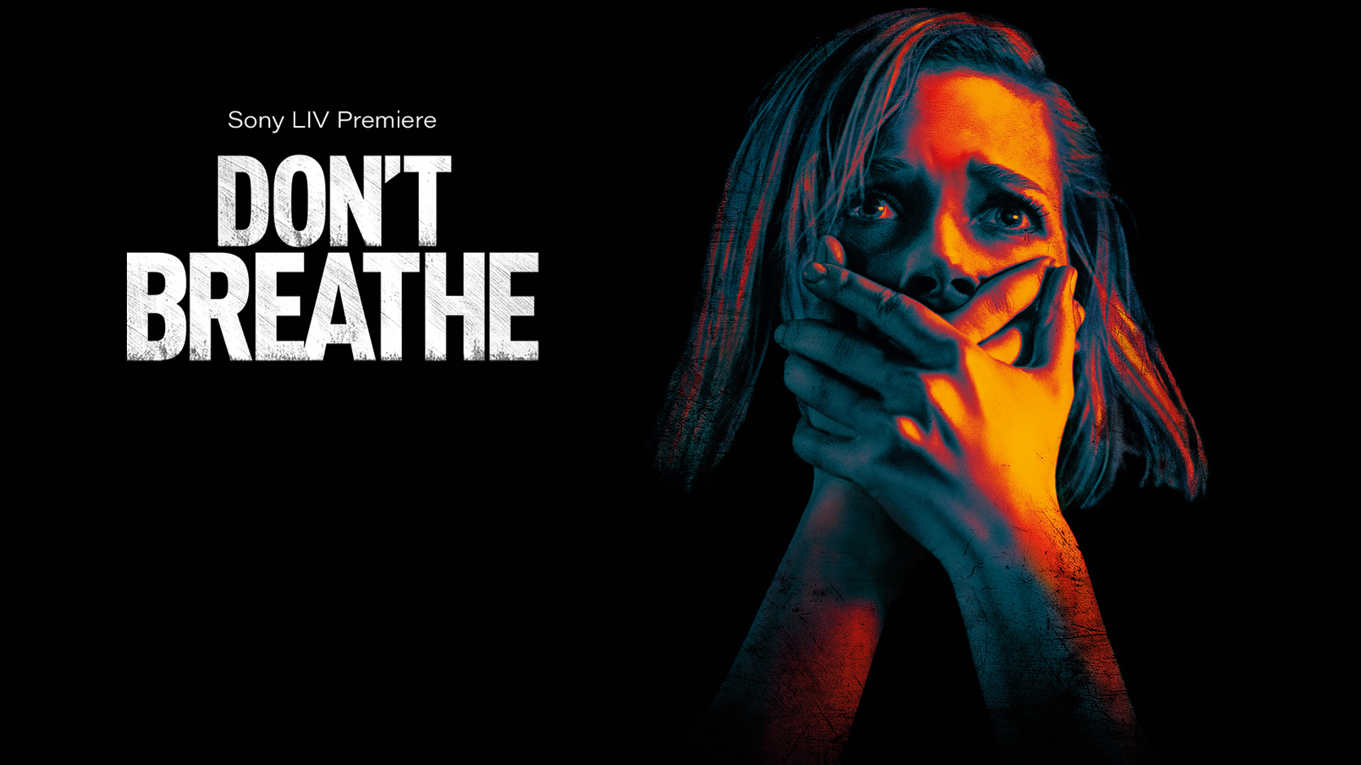 42-facts-about-the-movie-dont-breathe