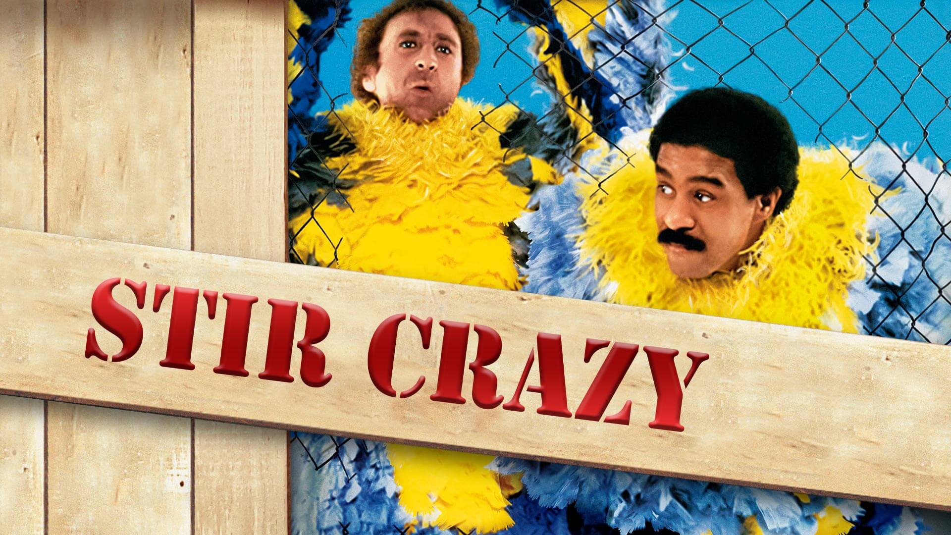 48 Facts About The Movie Stir Crazy 1696088164 