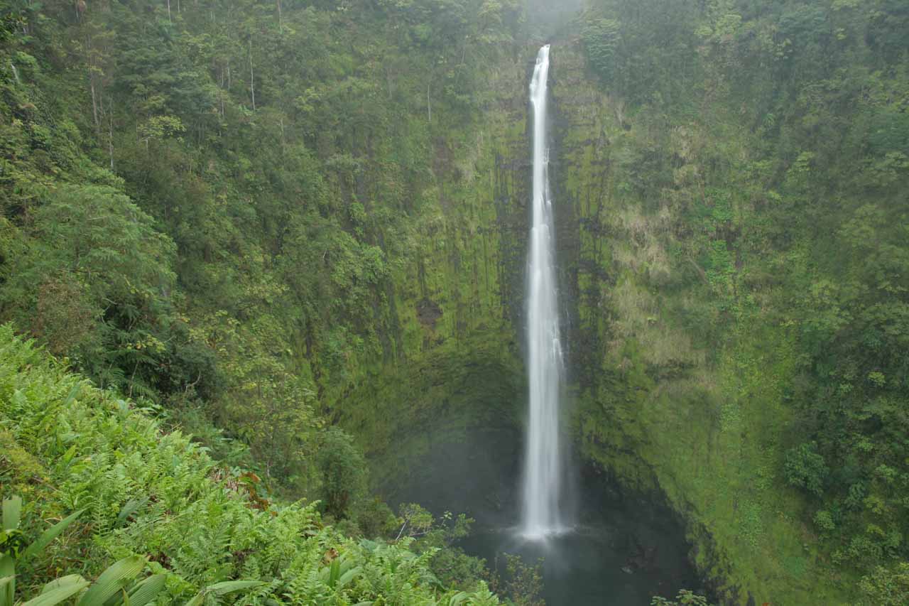 8-astounding-facts-about-akaka-falls