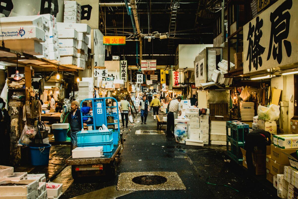 8-captivating-facts-about-toyosu-market-tokyo