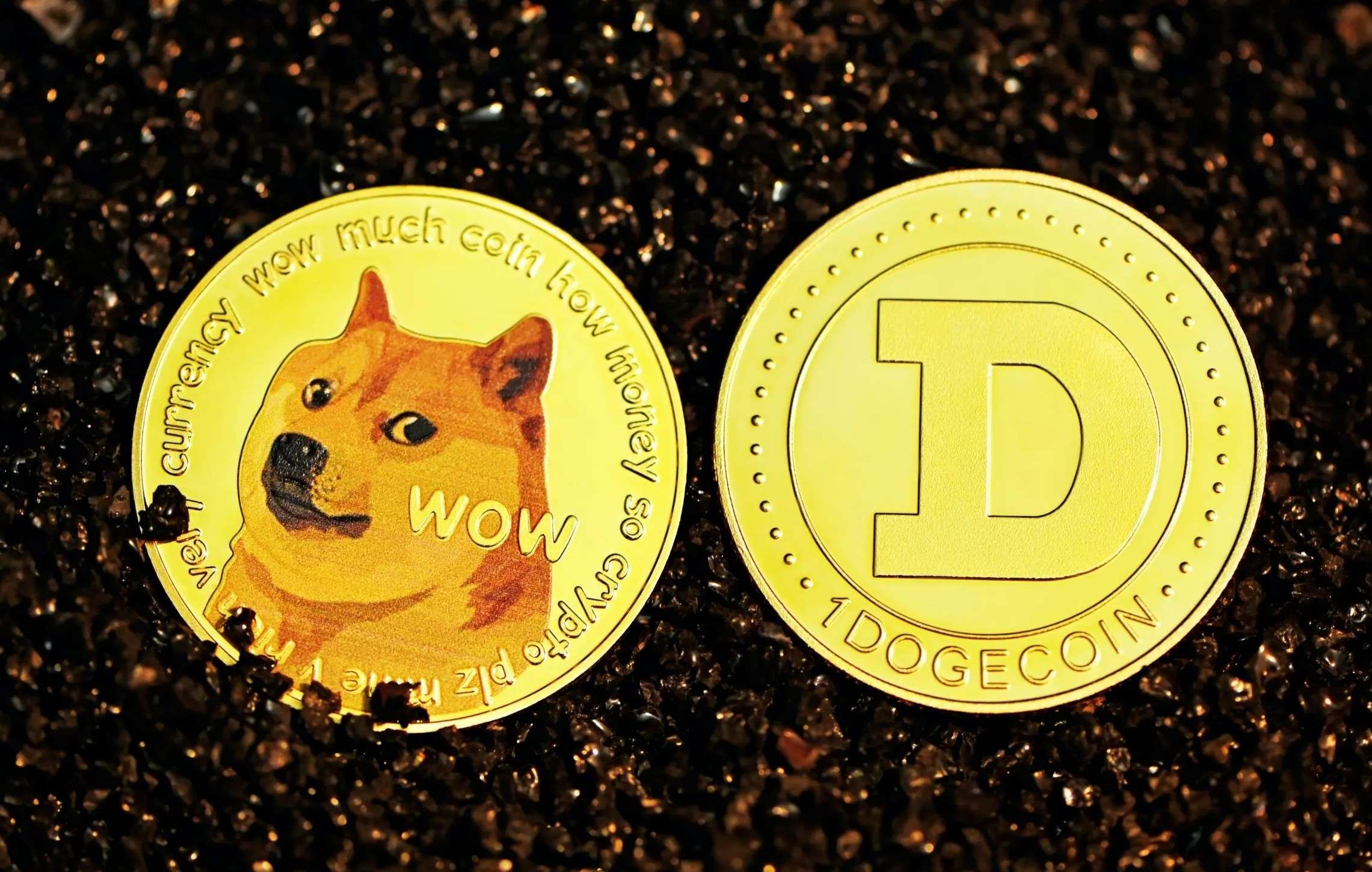 8-enigmatic-facts-about-dogecoin-doge