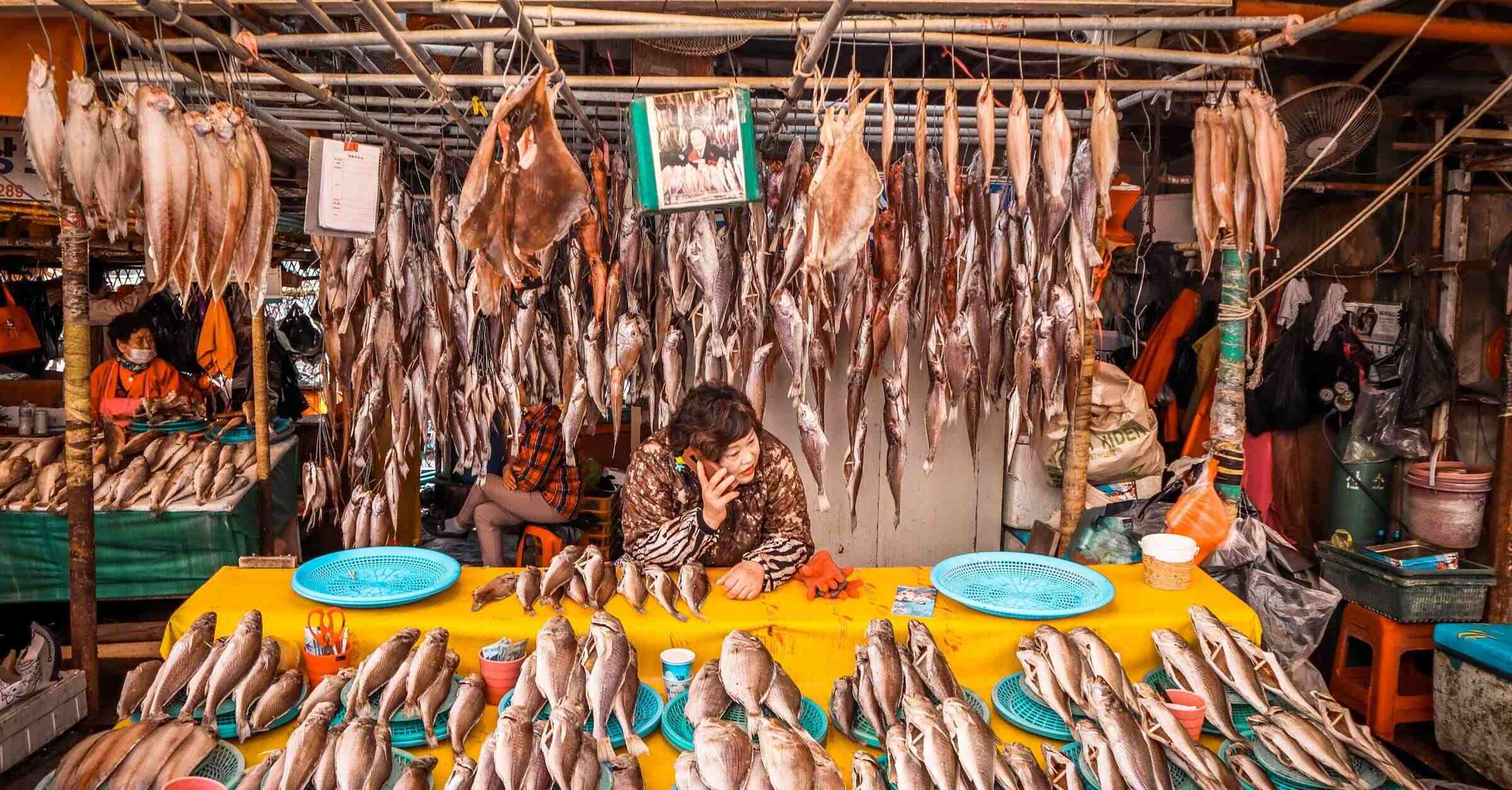 8 Enigmatic Facts About Jagalchi Fish Market (Busan)