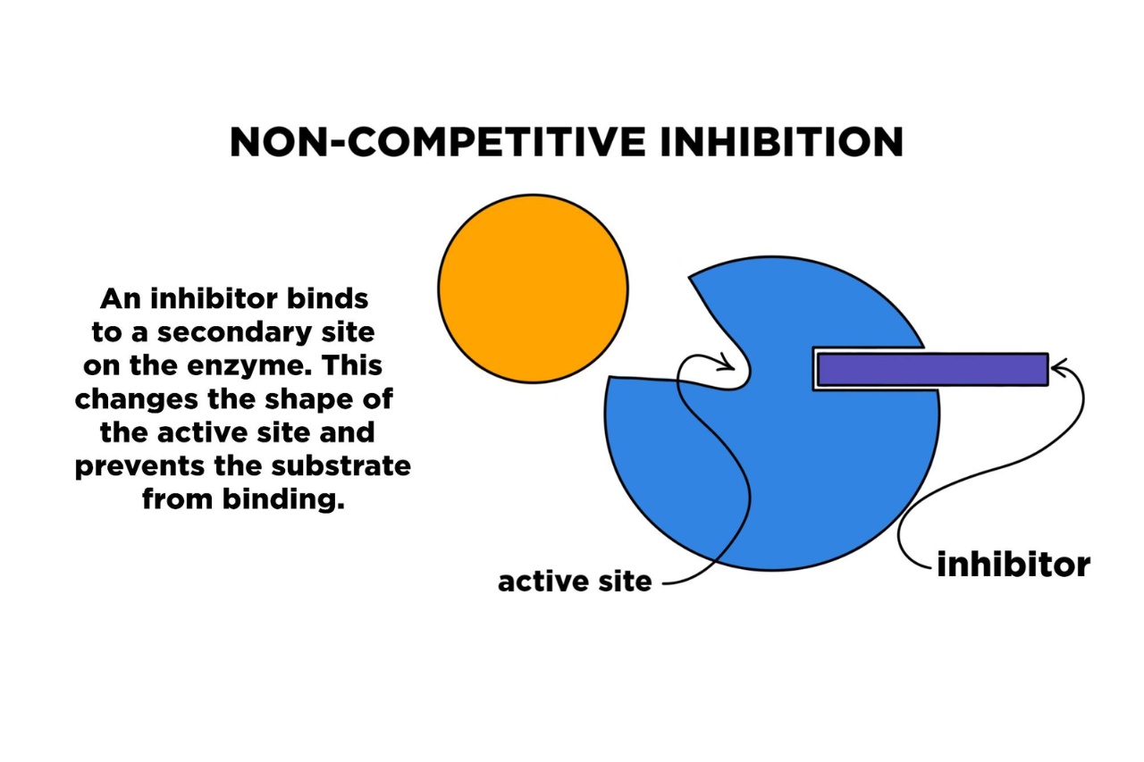 8-enigmatic-facts-about-non-competitive-inhibition