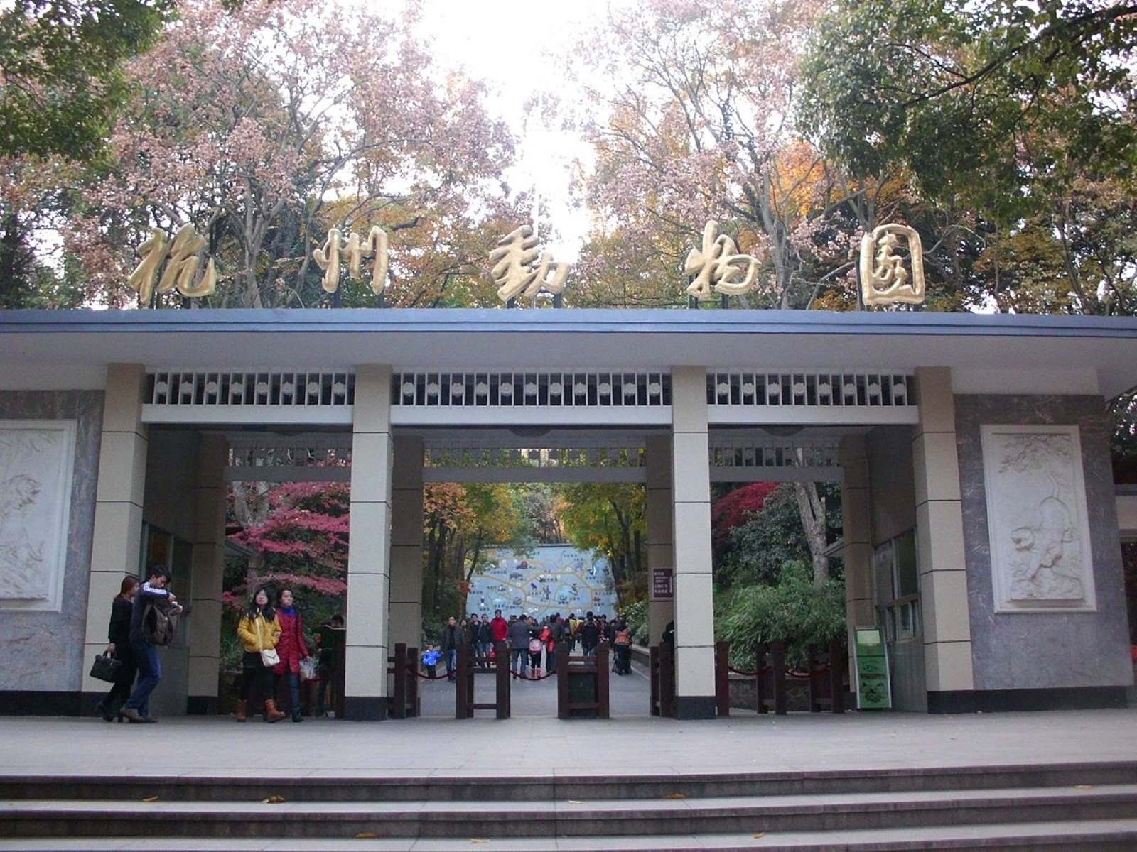 8-extraordinary-facts-about-hangzhou-zoo