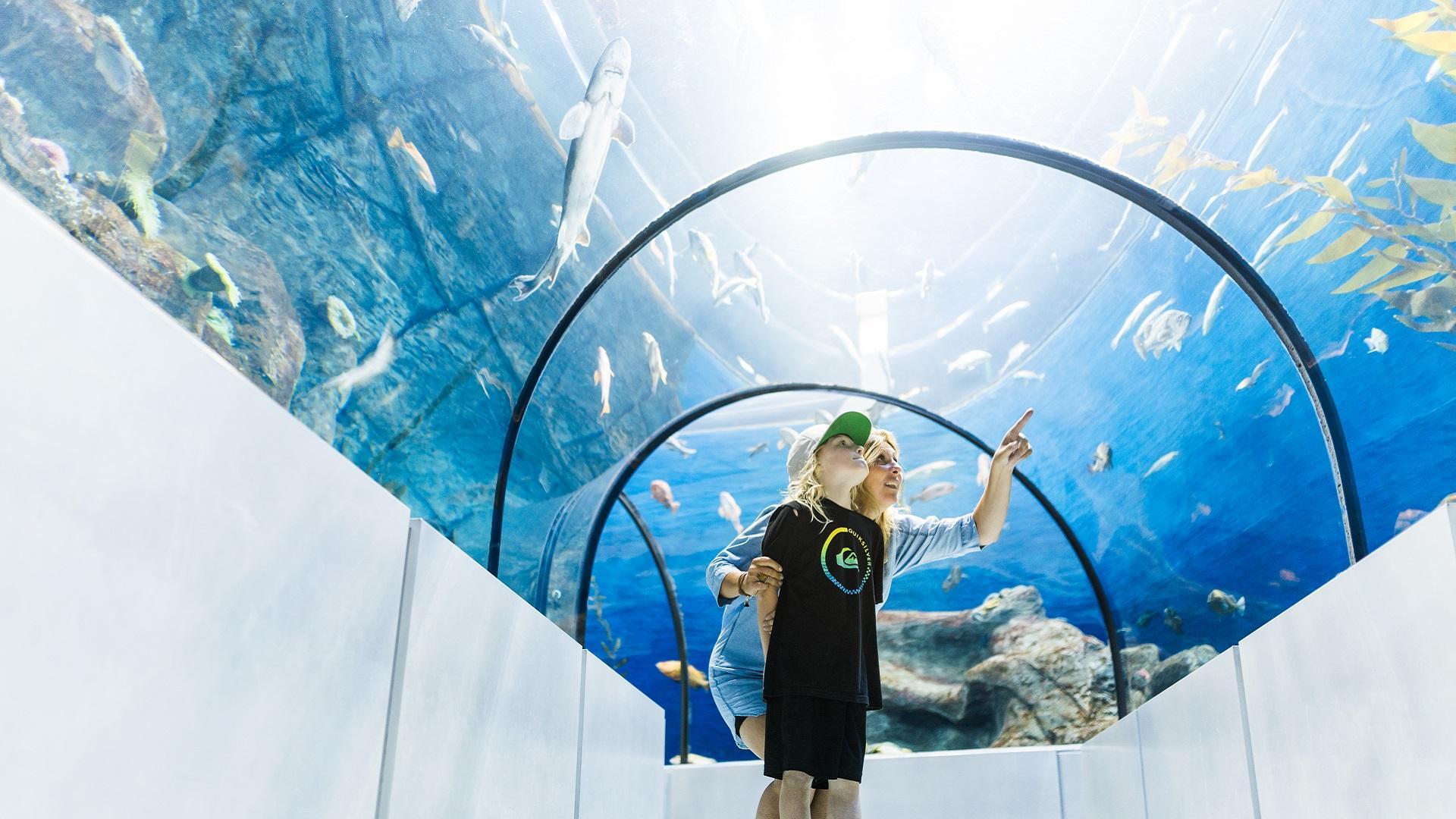 8-fascinating-facts-about-quebec-city-aquarium