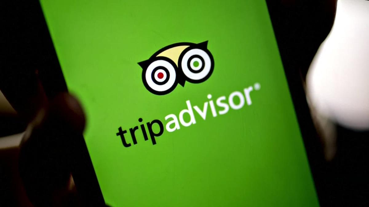 8-fascinating-facts-about-tripadvisor
