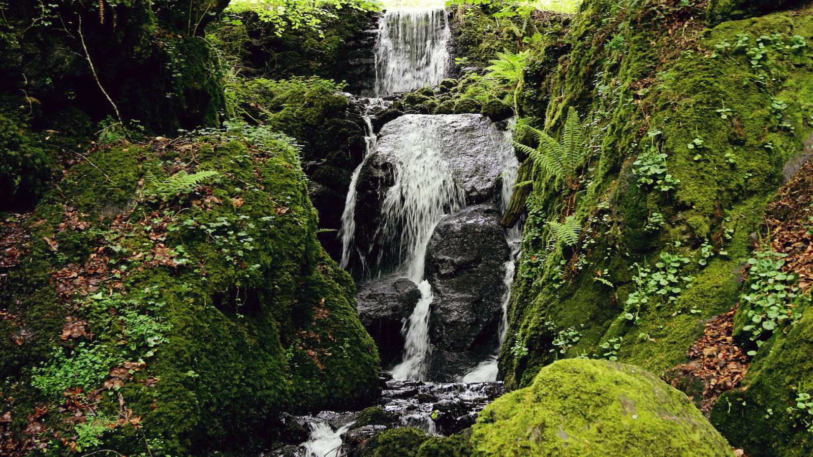 8-surprising-facts-about-canonteign-falls