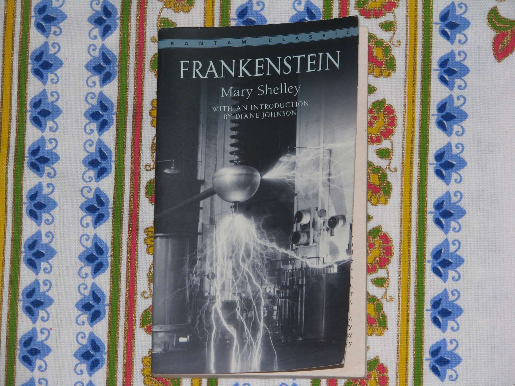 8-surprising-facts-about-frankenstein-mary-shelley