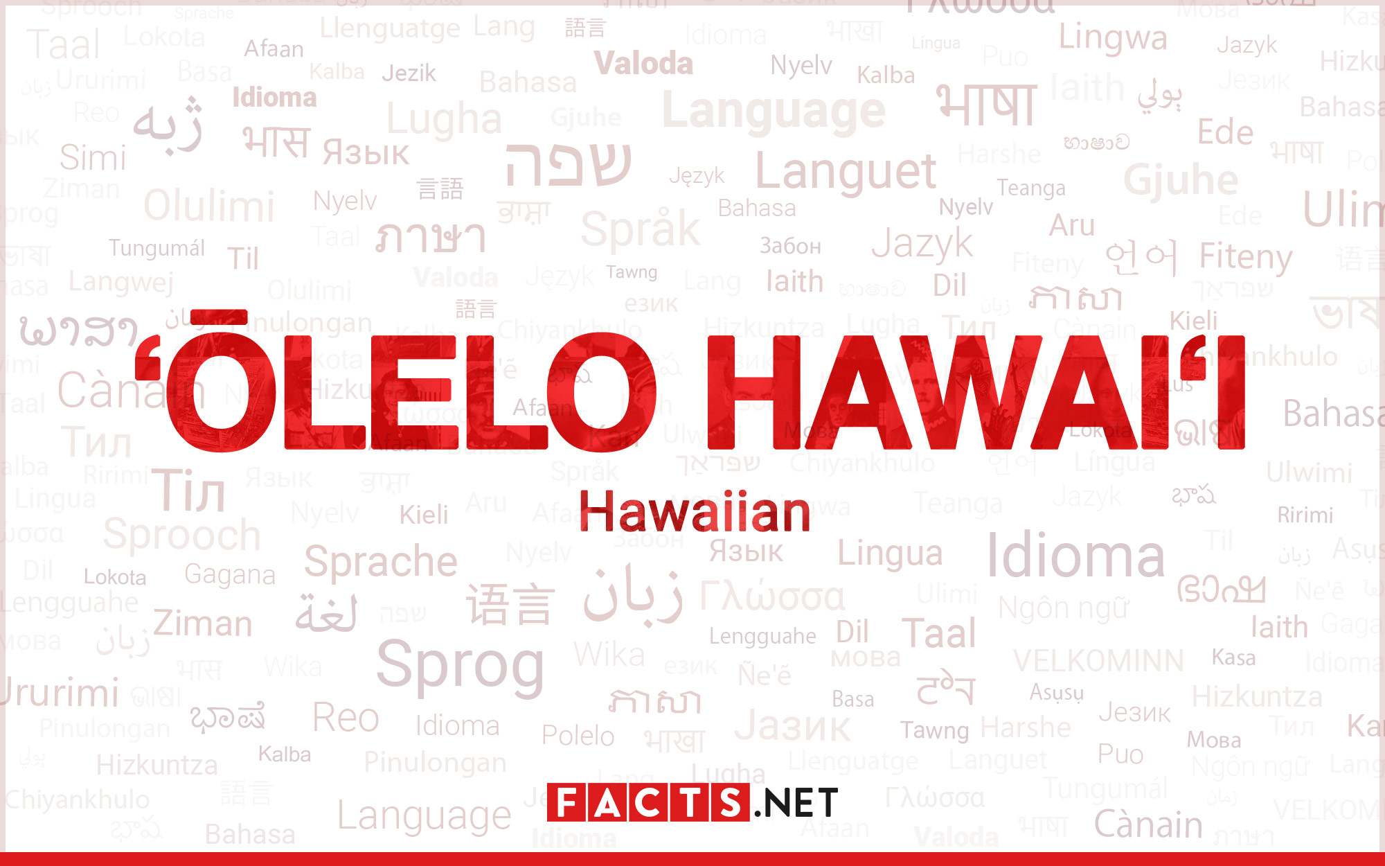 8-surprising-facts-about-hawaiian