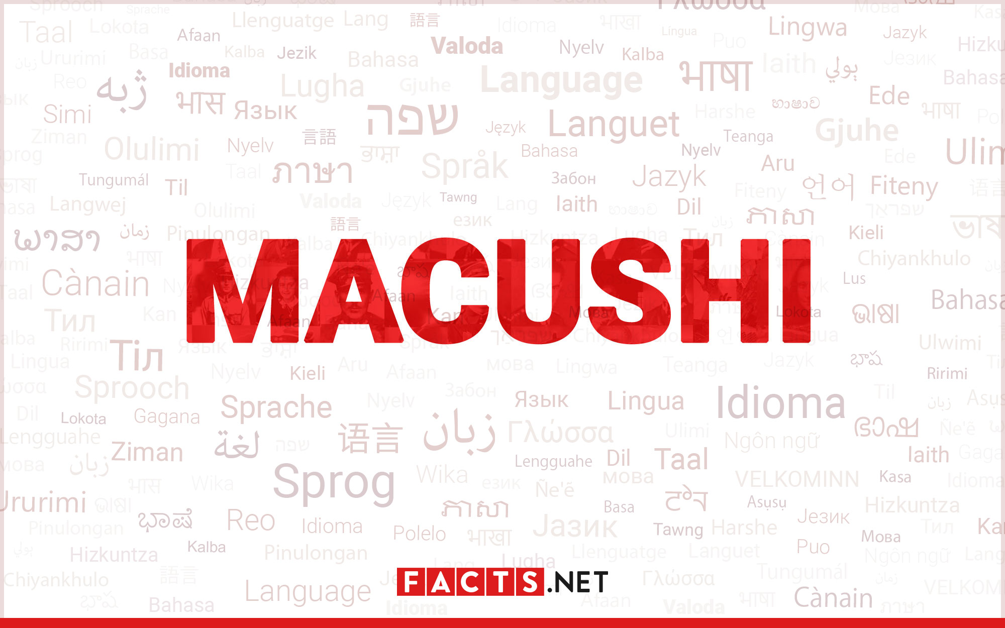 8-surprising-facts-about-macushi