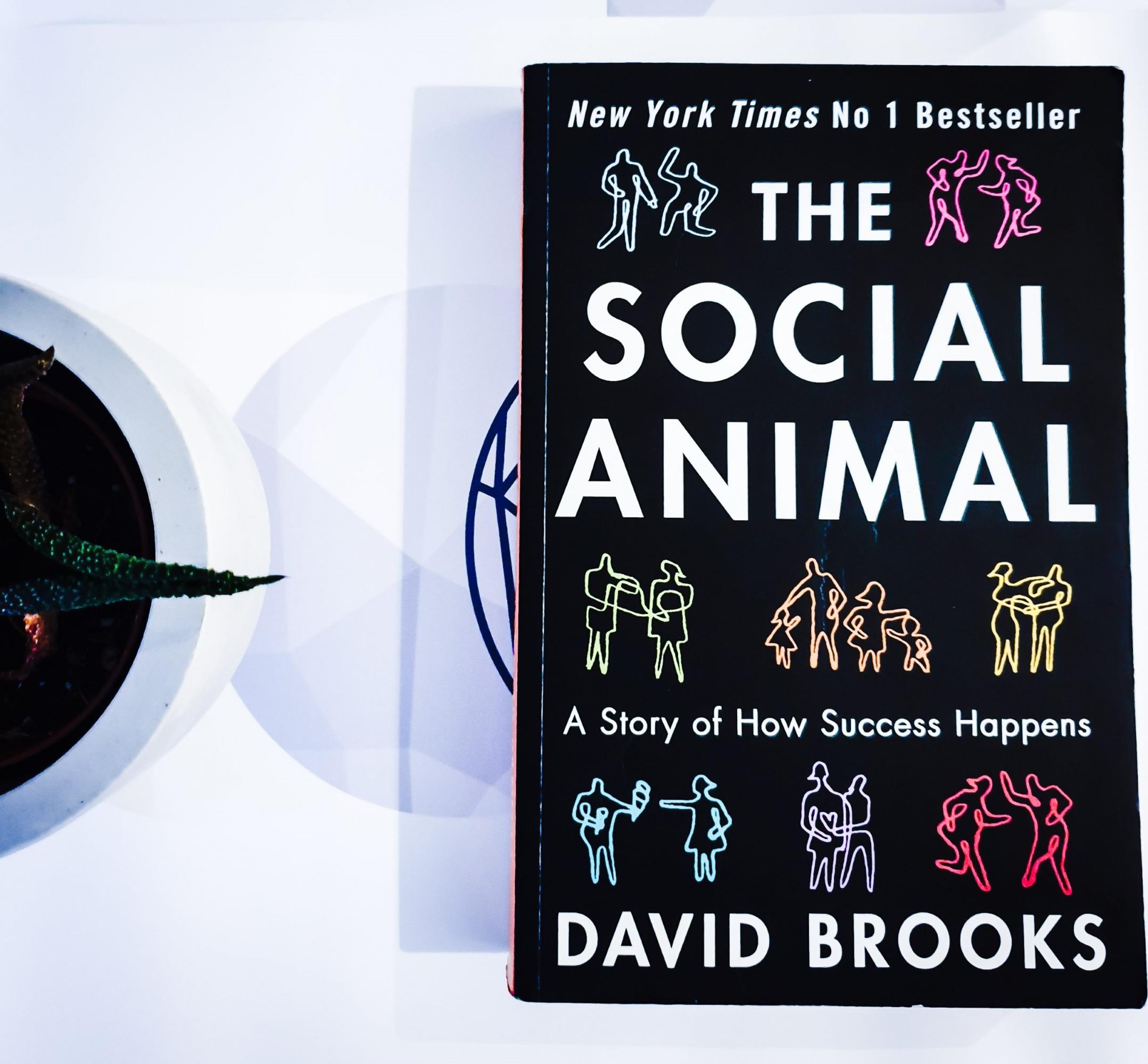 8-unbelievable-facts-about-the-social-animal-david-brooks