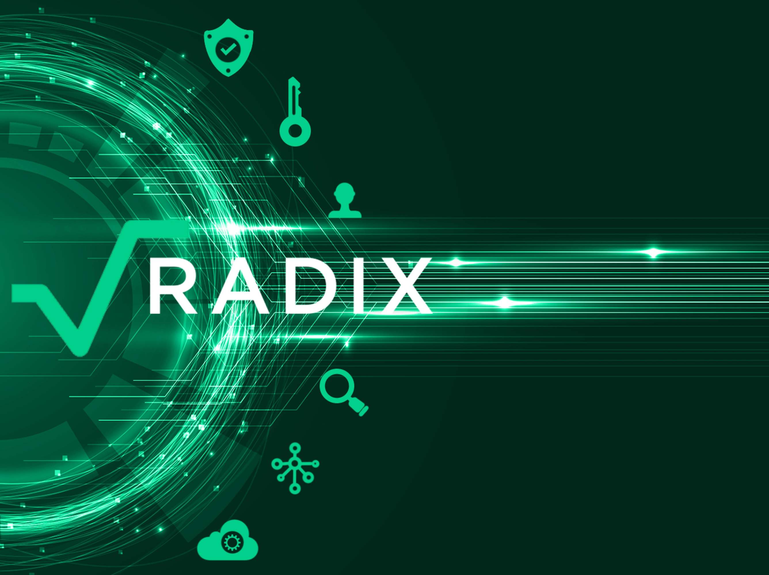 9-astonishing-facts-about-radix-exrd