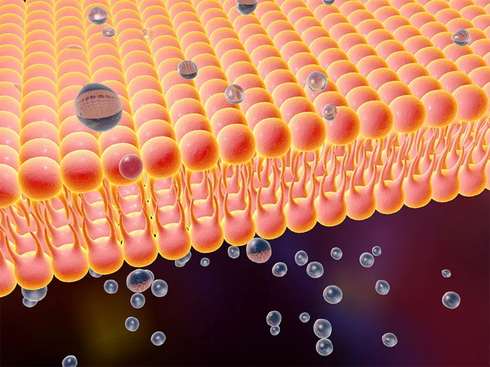 9 Astounding Facts About Diffusion Facts