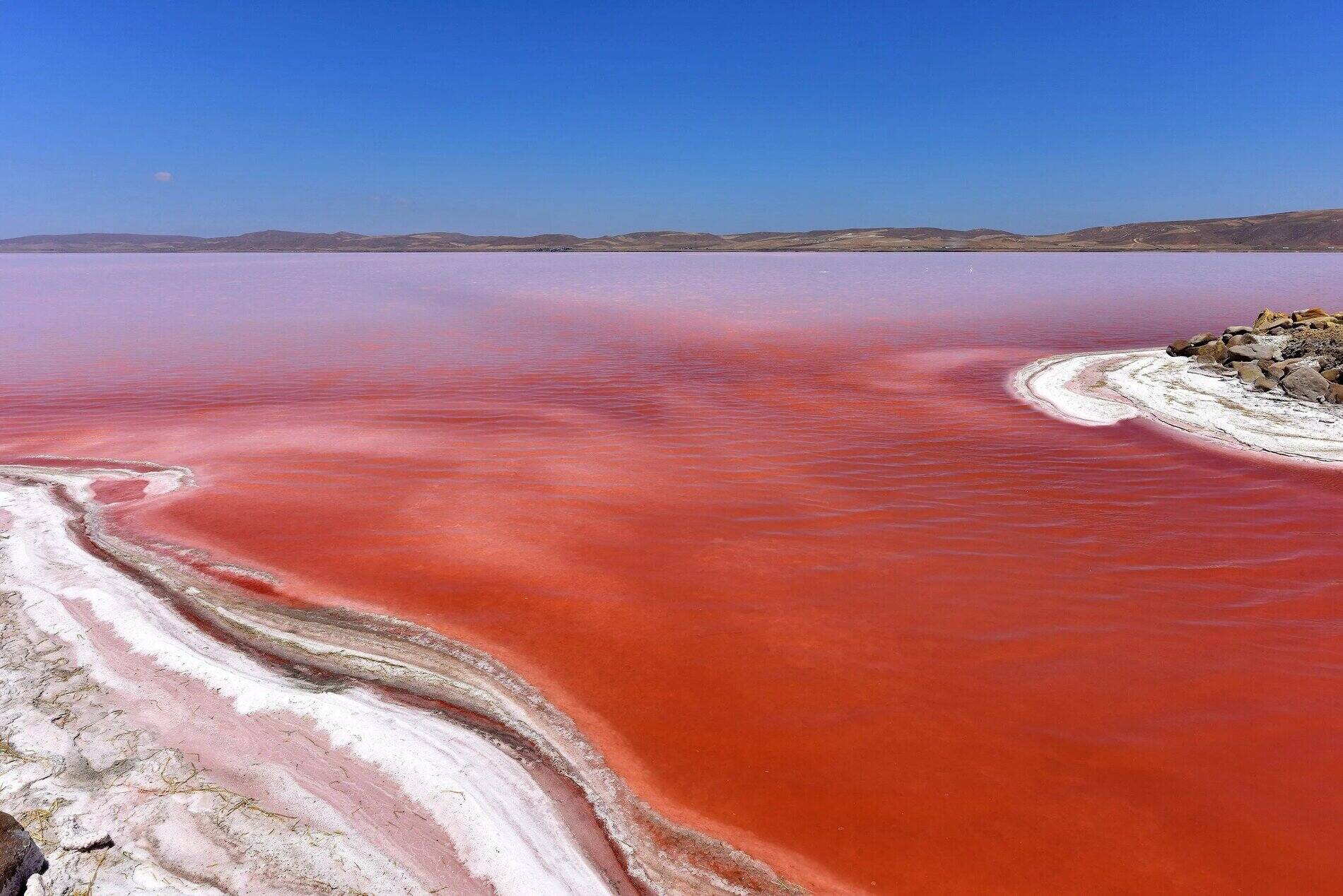9-astounding-facts-about-red-lake