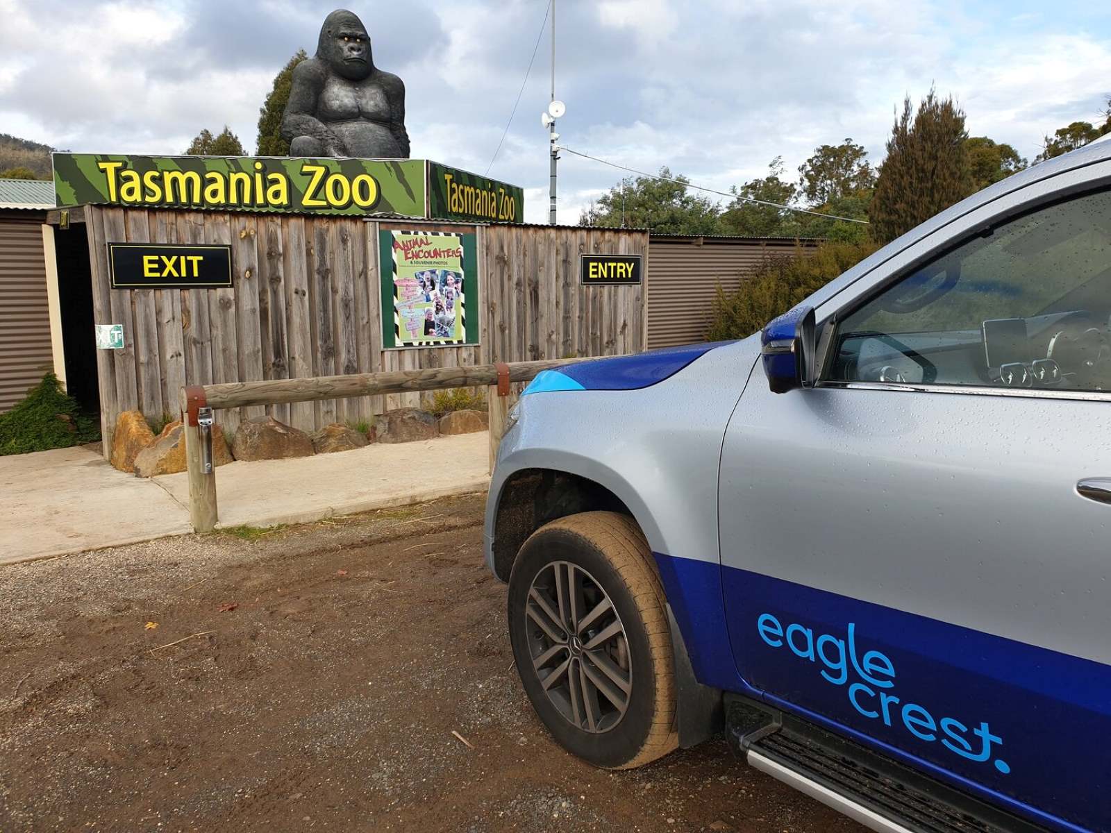 9-astounding-facts-about-tasmania-zoo