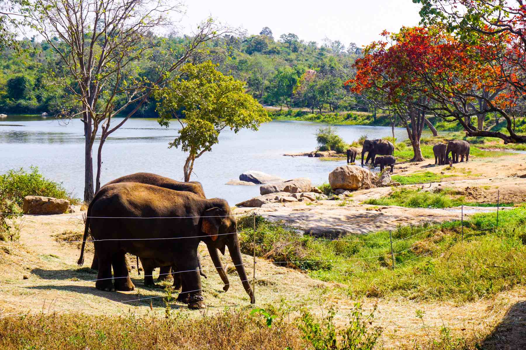 9-captivating-facts-about-bannerghatta-biological-park