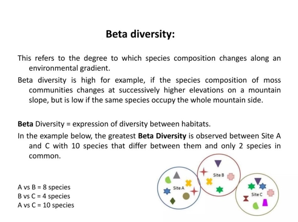 9-captivating-facts-about-beta-diversity