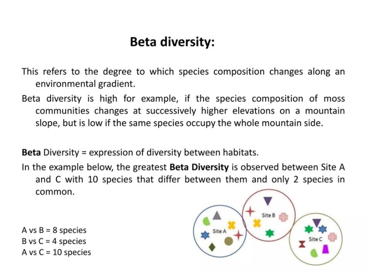 Alpha-diversity indexes, beta-diversity and longitudinal