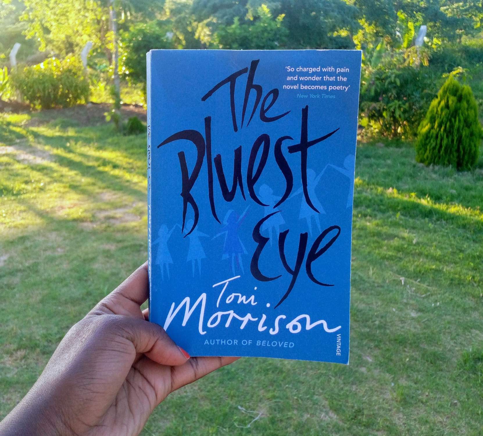 9-captivating-facts-about-the-bluest-eye-toni-morrison