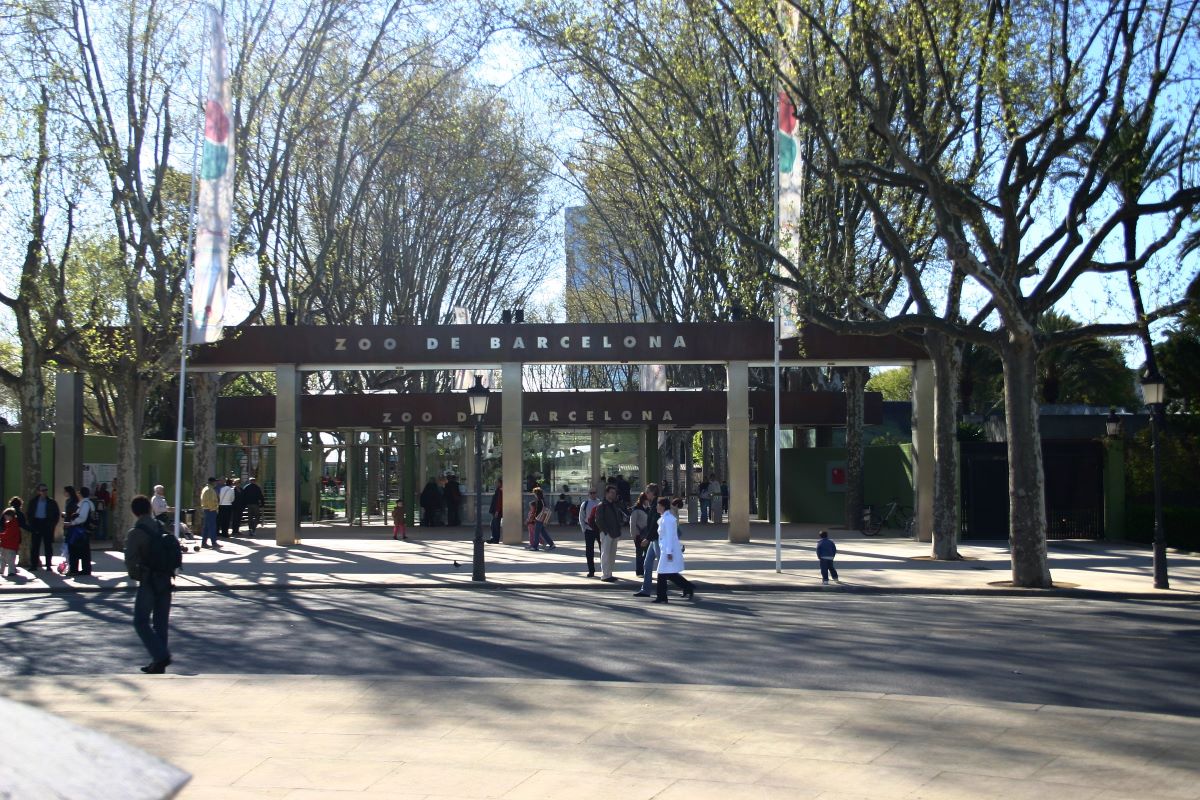 9-enigmatic-facts-about-barcelona-zoo