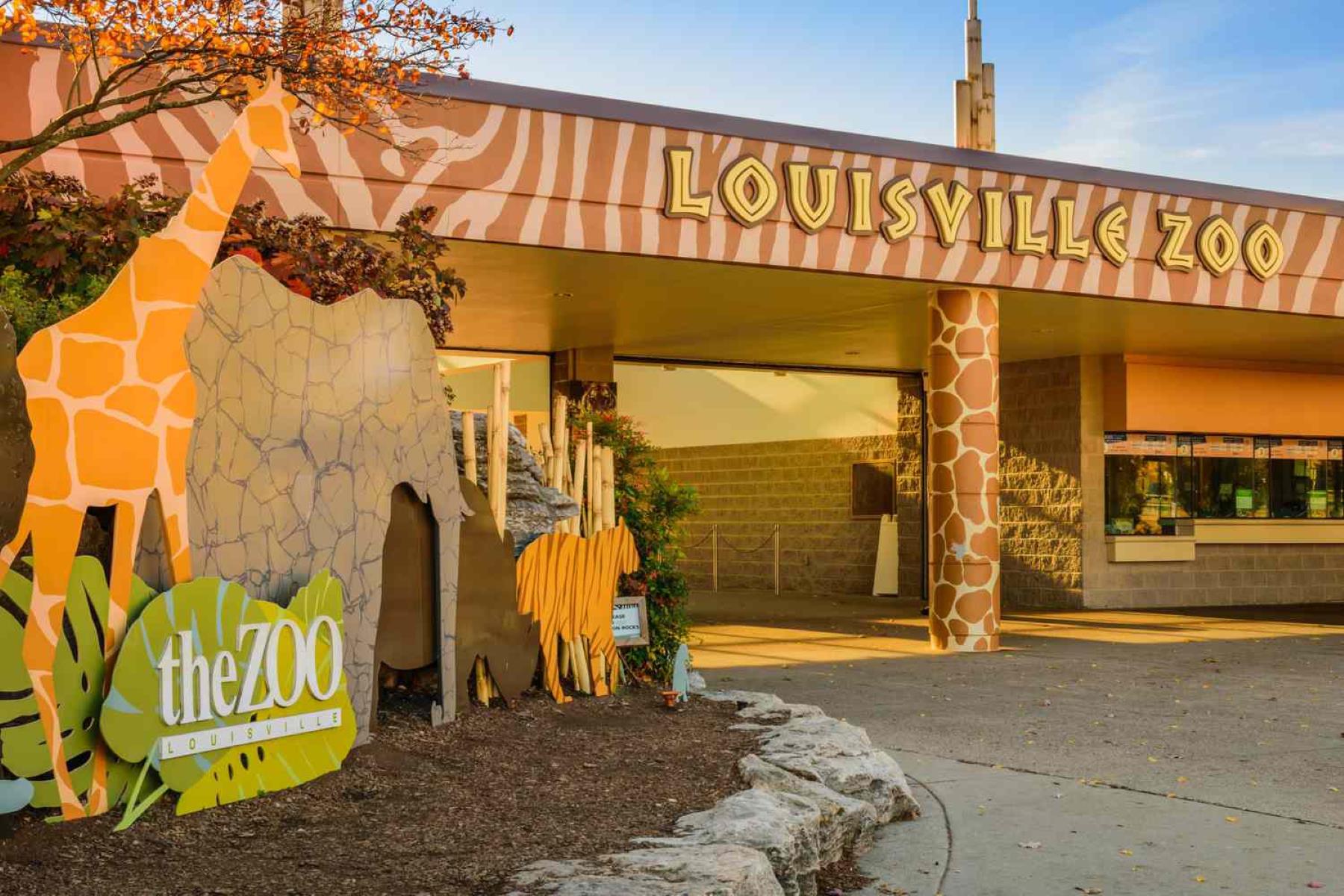 9-enigmatic-facts-about-louisville-zoo