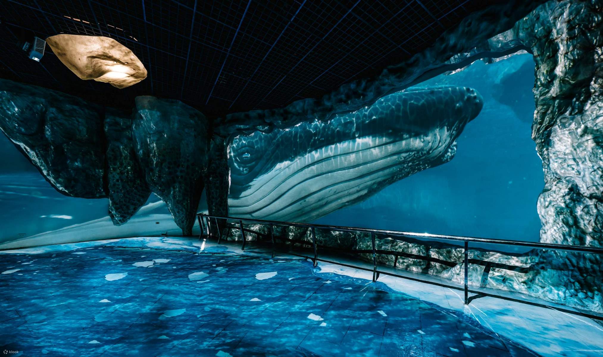 9-enigmatic-facts-about-national-museum-of-marine-biology-and-aquarium