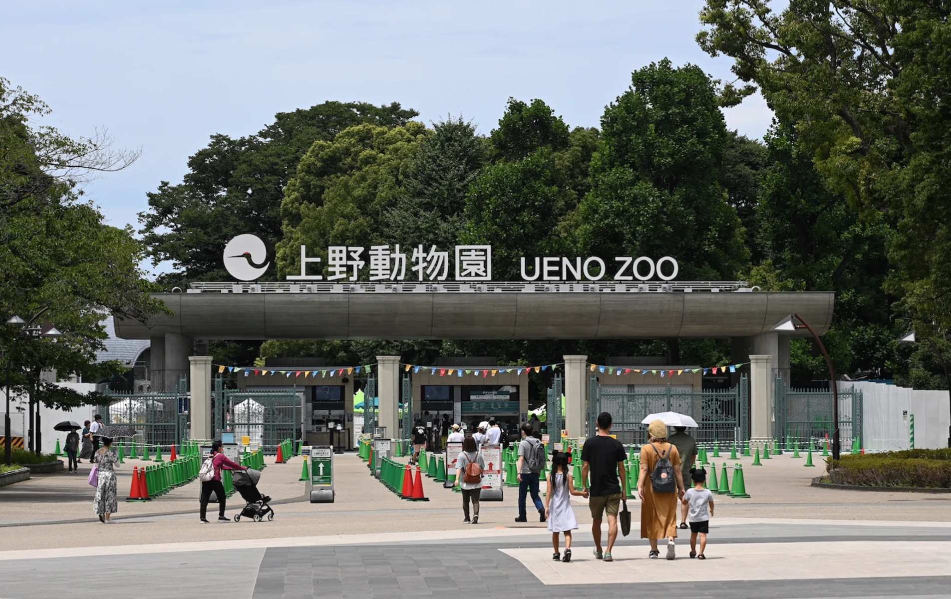 9-extraordinary-facts-about-ueno-zoological-gardens