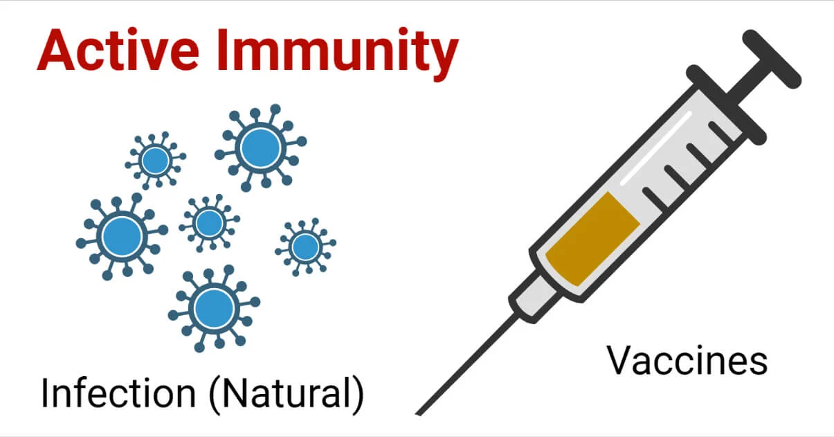 9-fascinating-facts-about-active-immunity