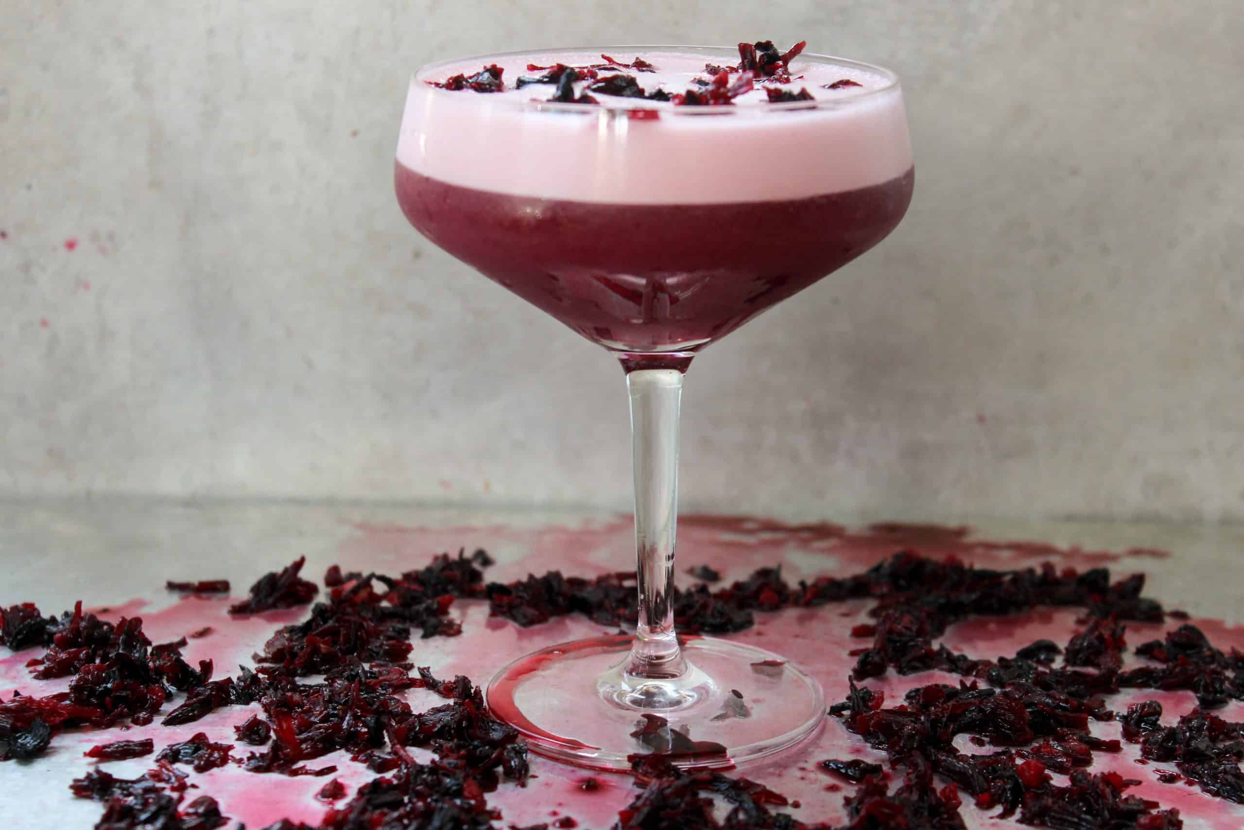 9-fascinating-facts-about-hibiscus-gin-sour