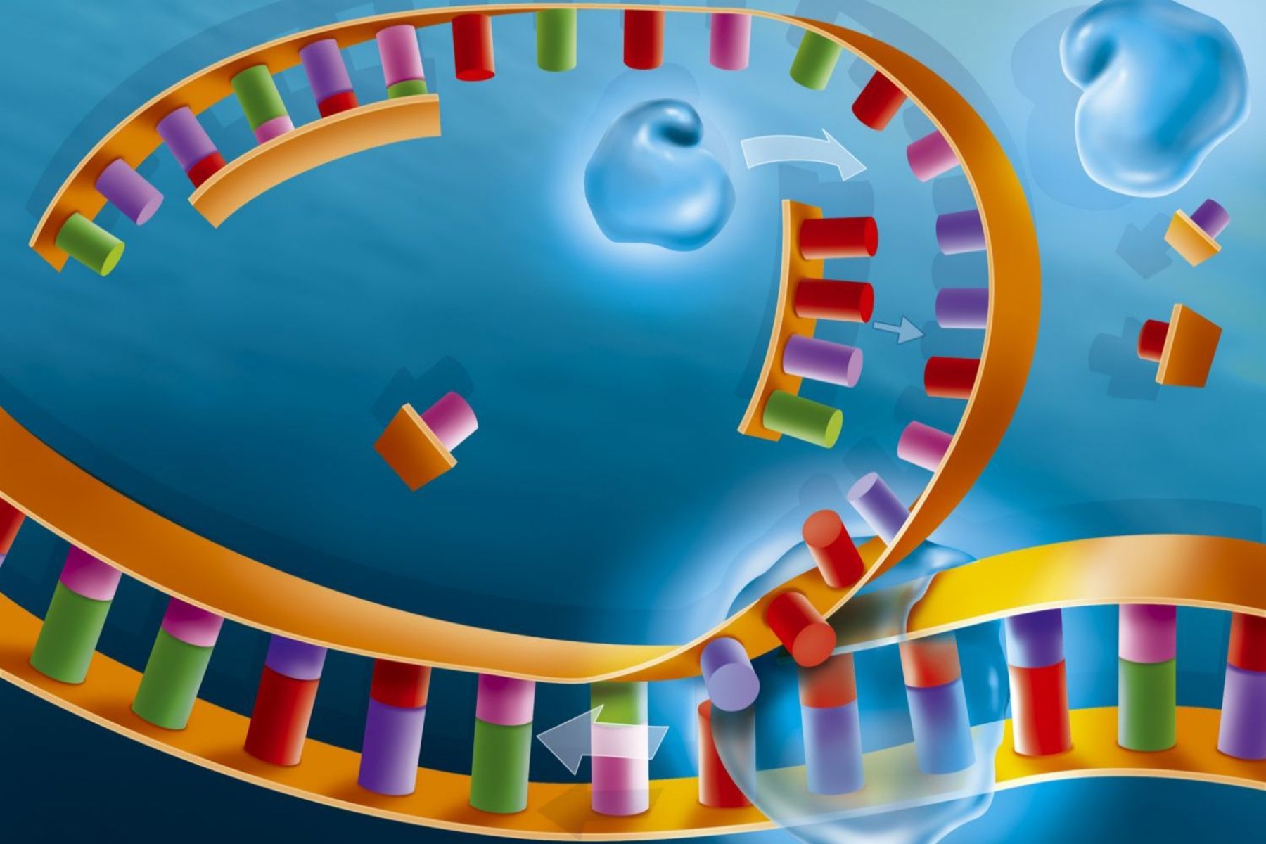 9-mind-blowing-facts-about-dna-helicase