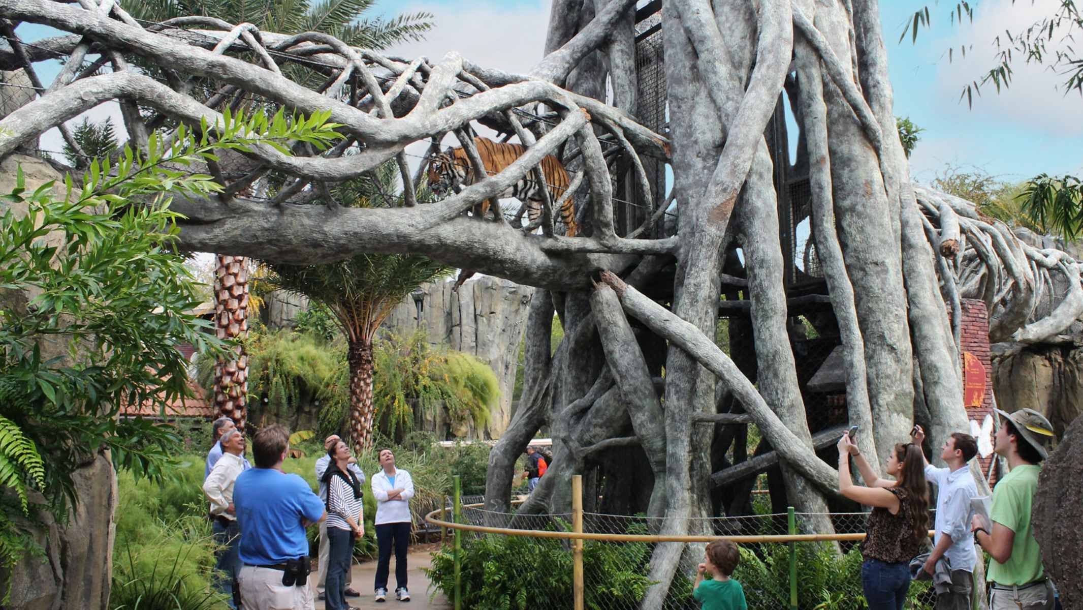9-mind-blowing-facts-about-jacksonville-zoo-and-gardens