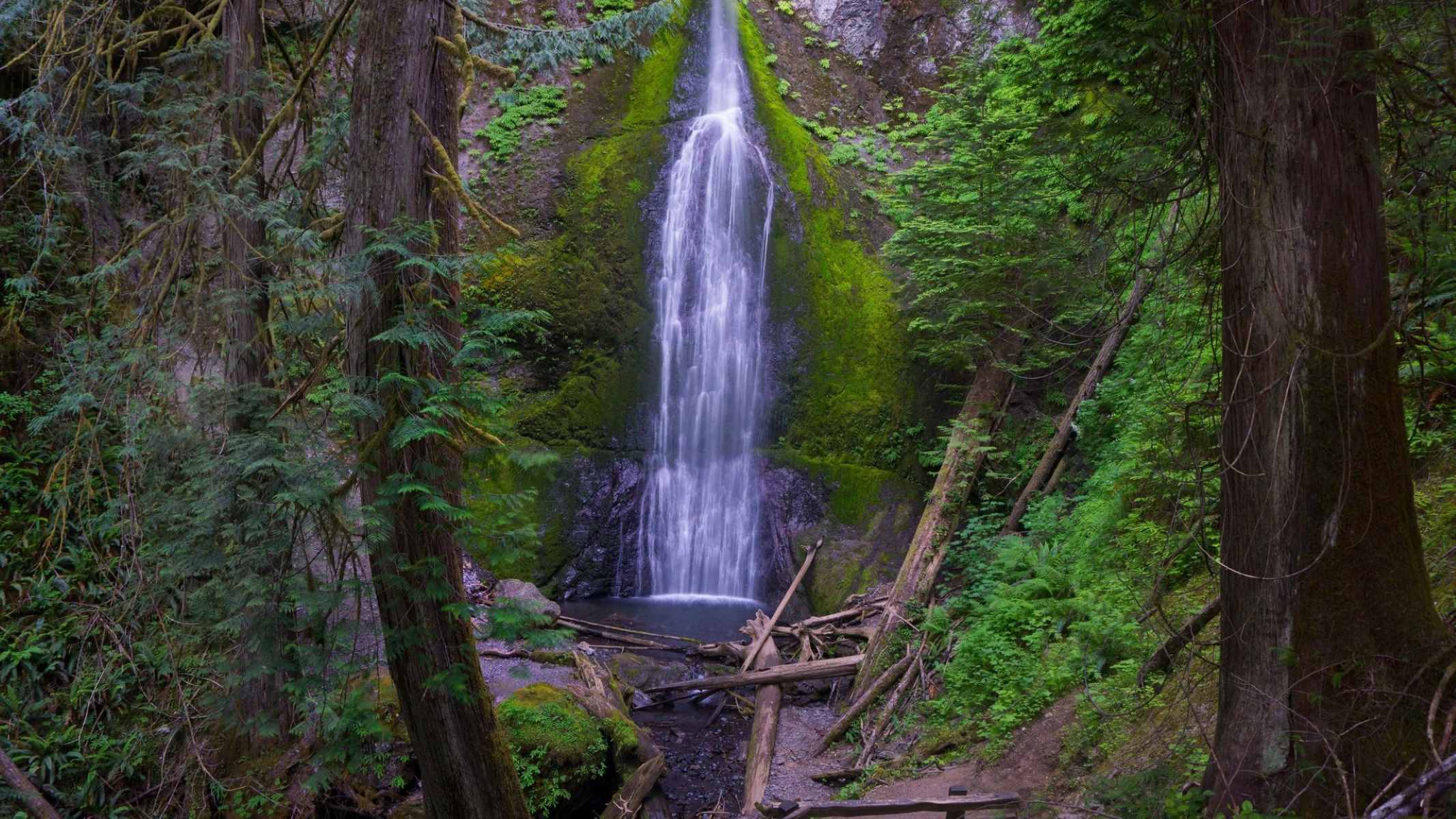 Marymere falls shop trail