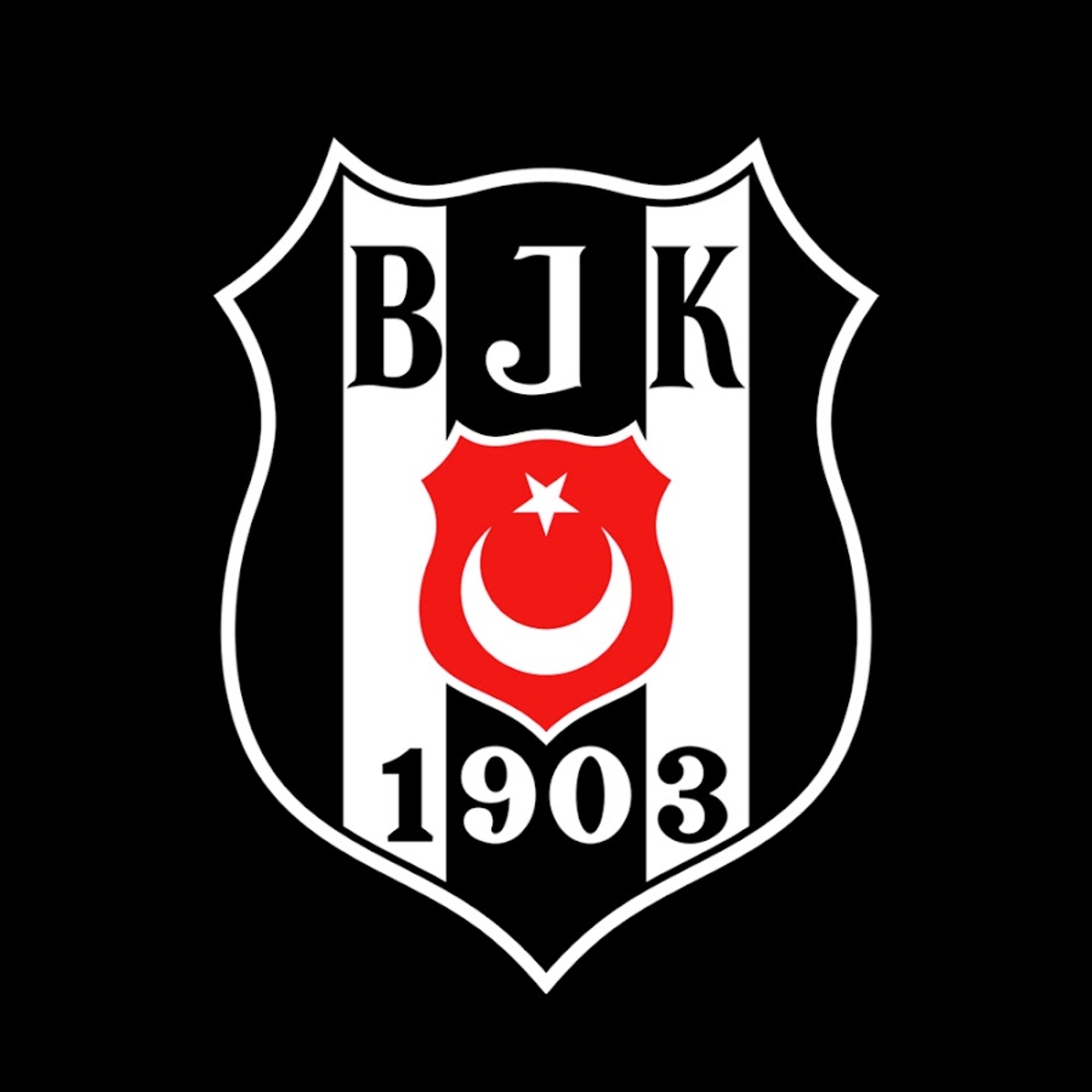 Vodafone Arena, Team Vodafone, Beşiktaş J.K., Turkish Cup, ricardo  Quaresma, bjk, beşiktaş Jk Football Team, Super League, Beşiktaş, football  Team