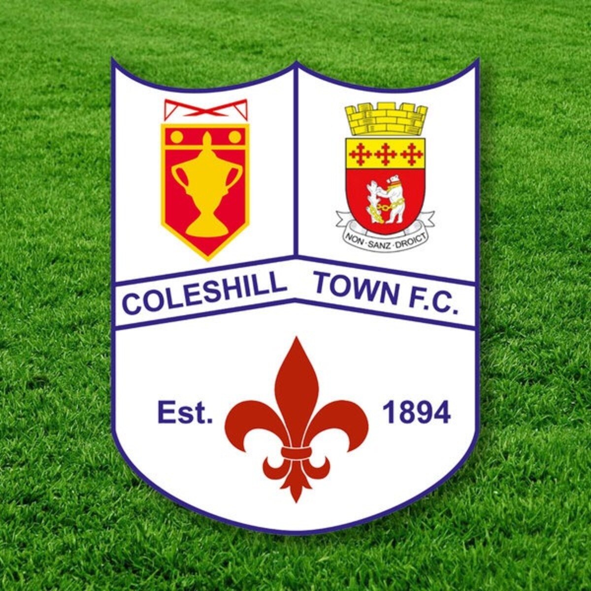 coleshill-town-fc-12-football-club-facts