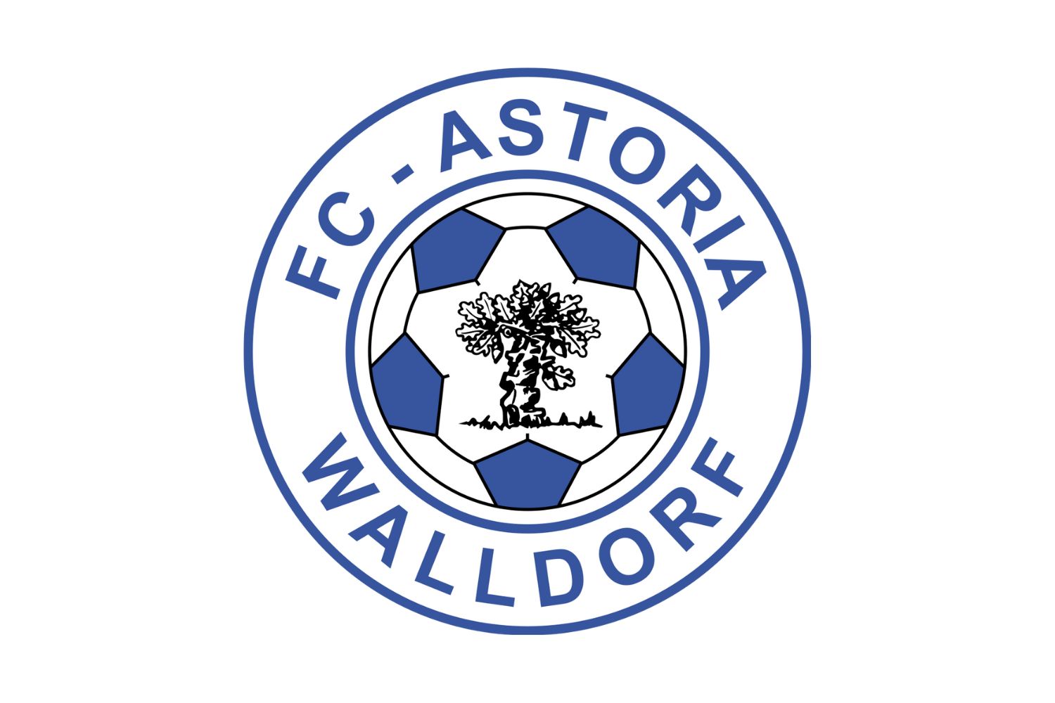 fc-astoria-walldorf-14-football-club-facts