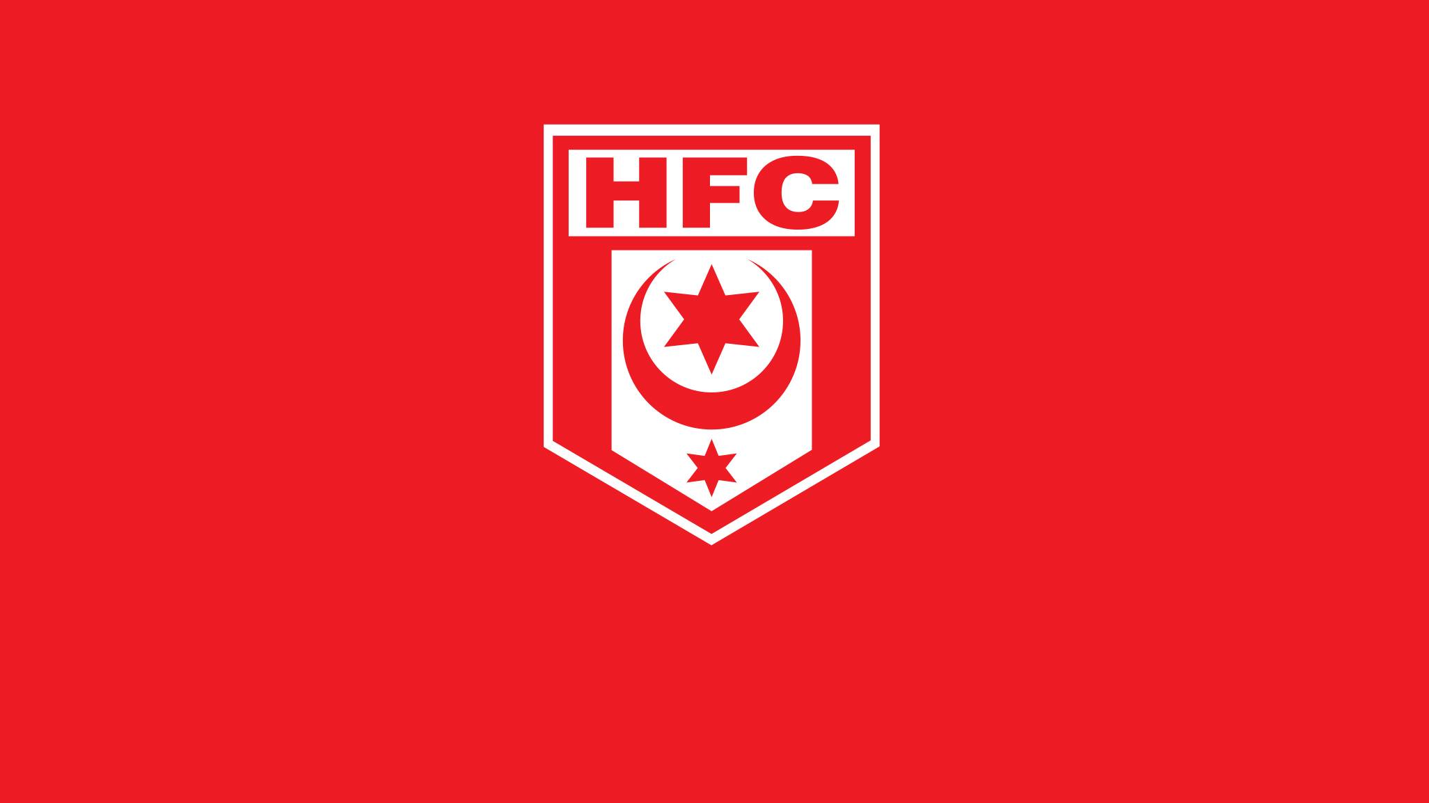 hallescher-fc-19-football-club-facts
