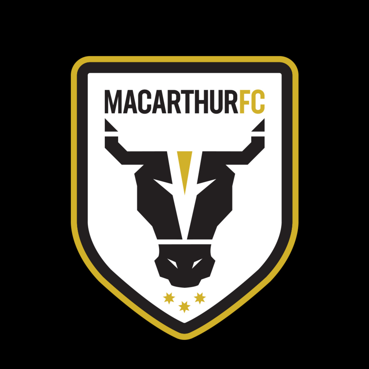 Macarthur FC: 17 Football Club Facts 